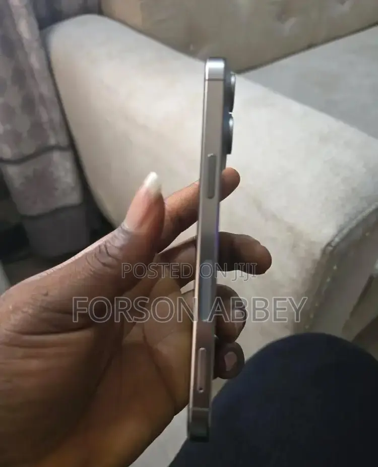 Apple iPhone 15 Pro Max 256 GB Silver