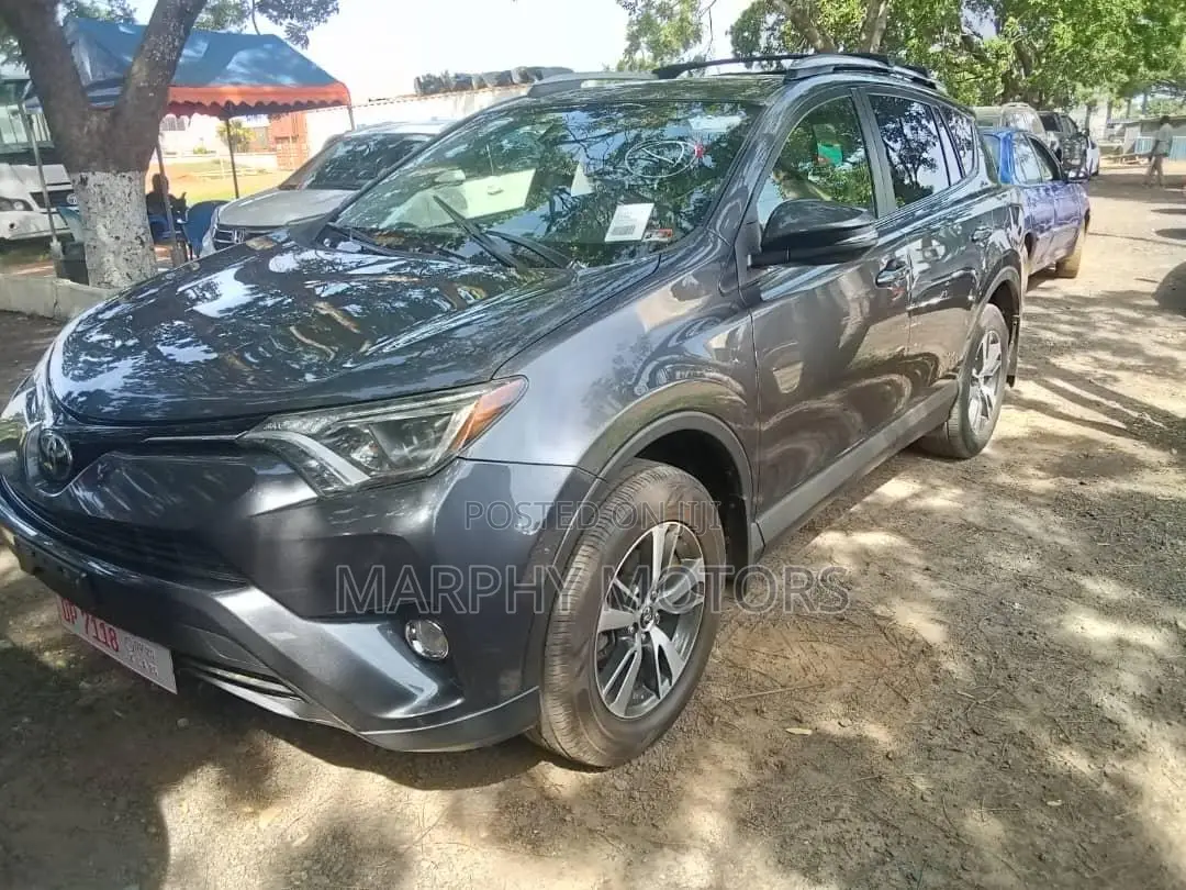 Toyota RAV4 XLE AWD (2.5L 4cyl 6A) 2017 Gray