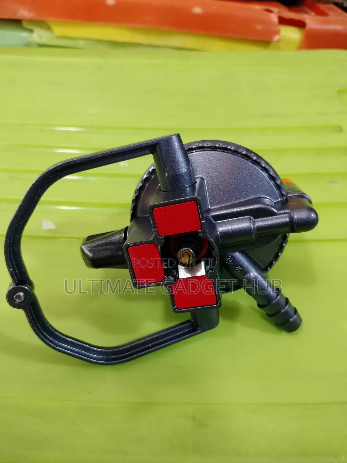 Low Pressure Gas Regulator