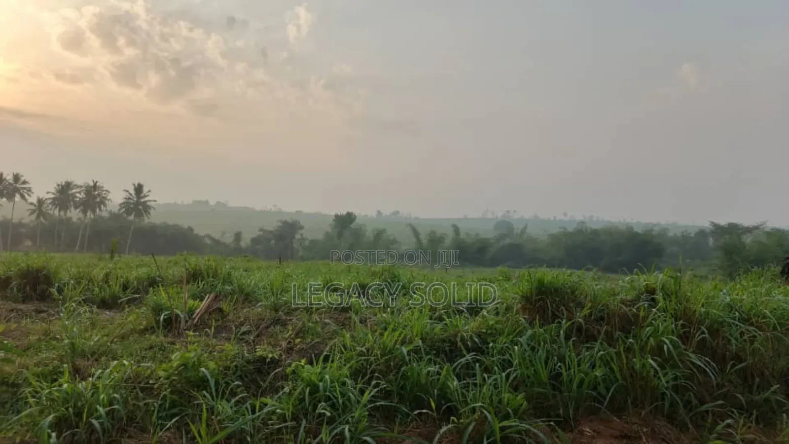 Plot of Land for Sale