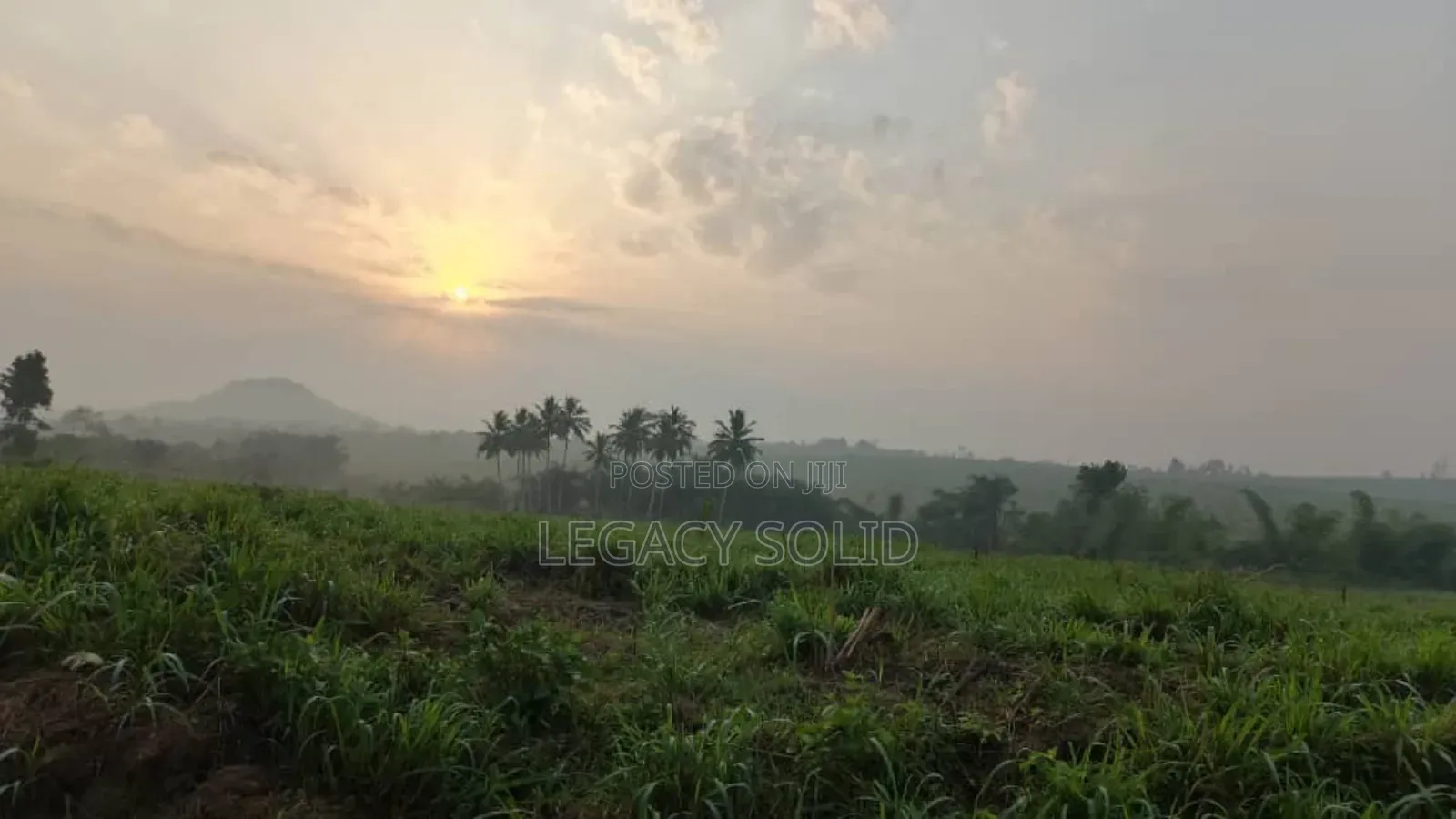 Plot of Land for Sale