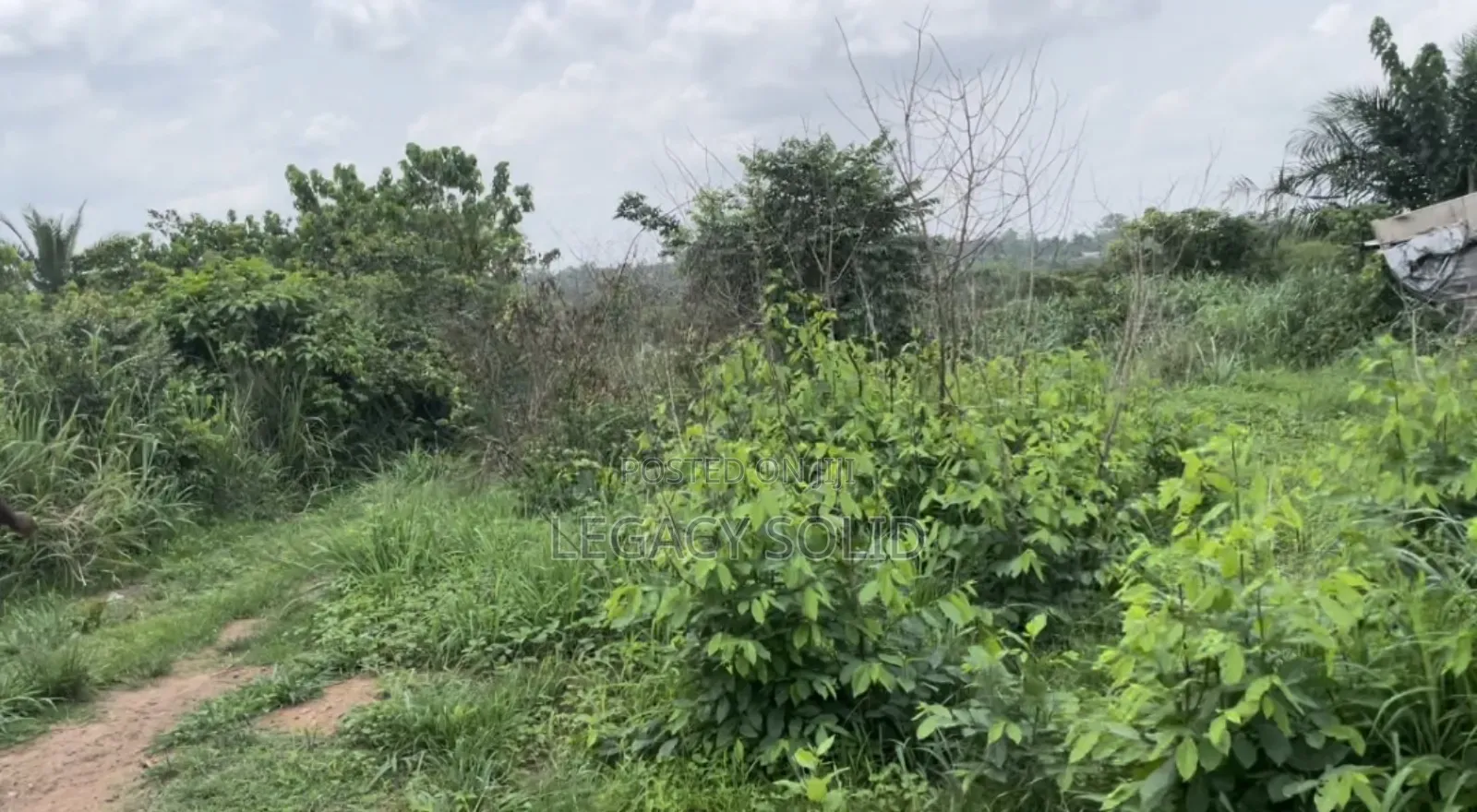 Plot of Land for Sale