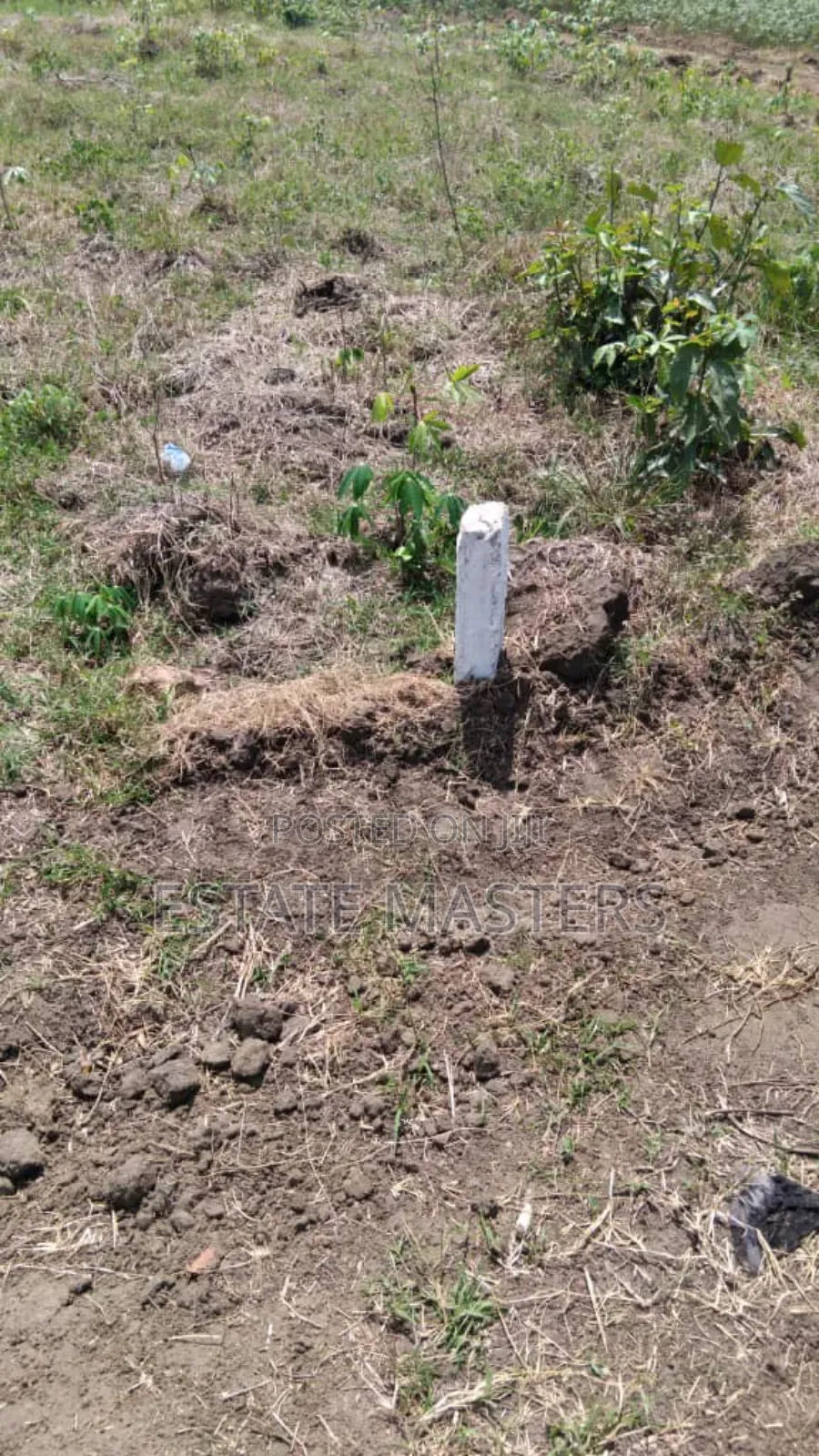 Titled Lands for Sale