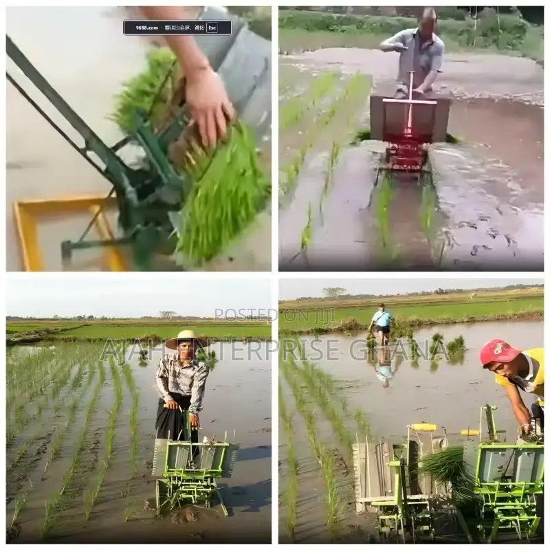 Hand Push Rice Transporter (2rows)