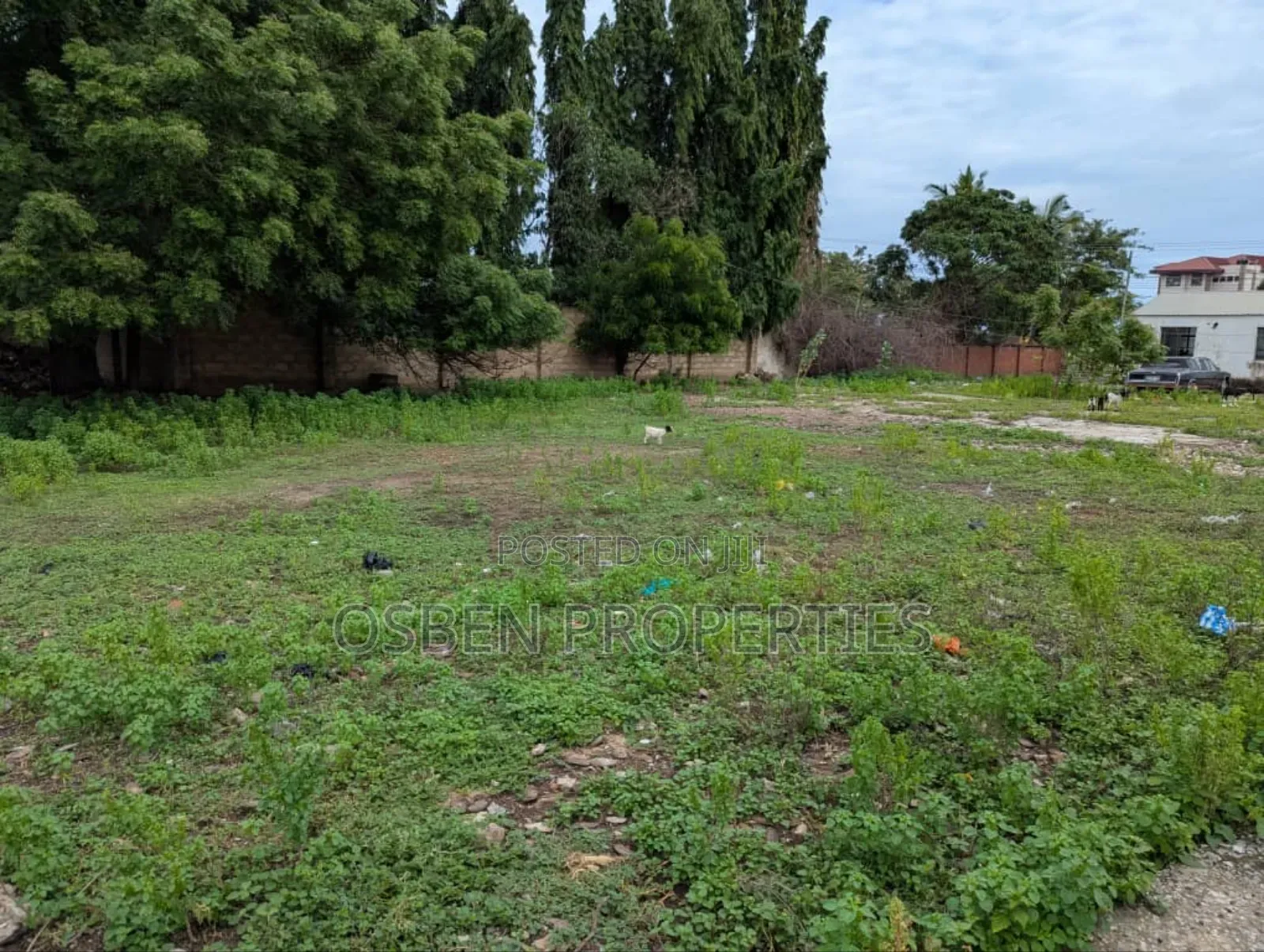 Land for Sale. Ideal for Commercial/Residential Purposes