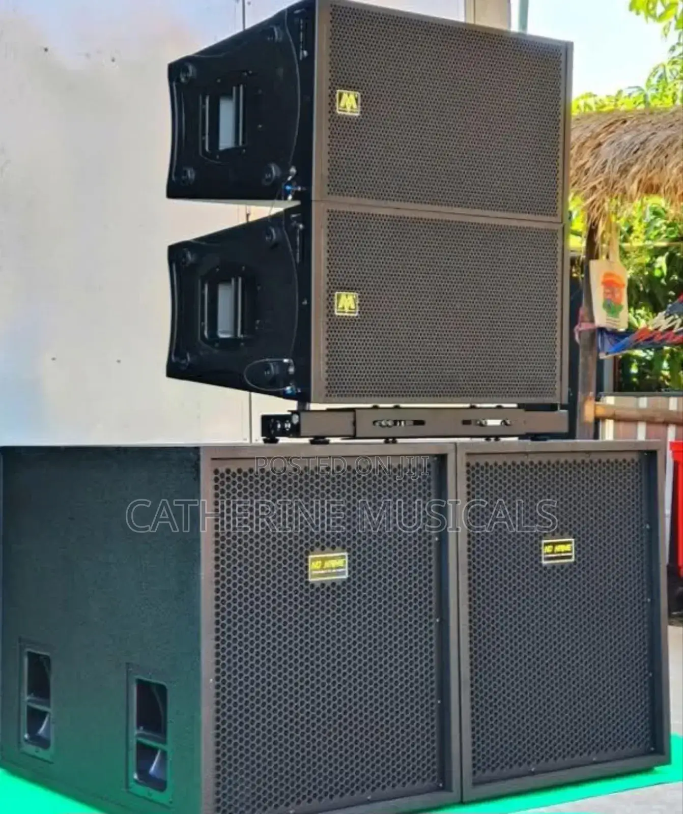 Ev Single Sub With Jac 10 Inches Line Array