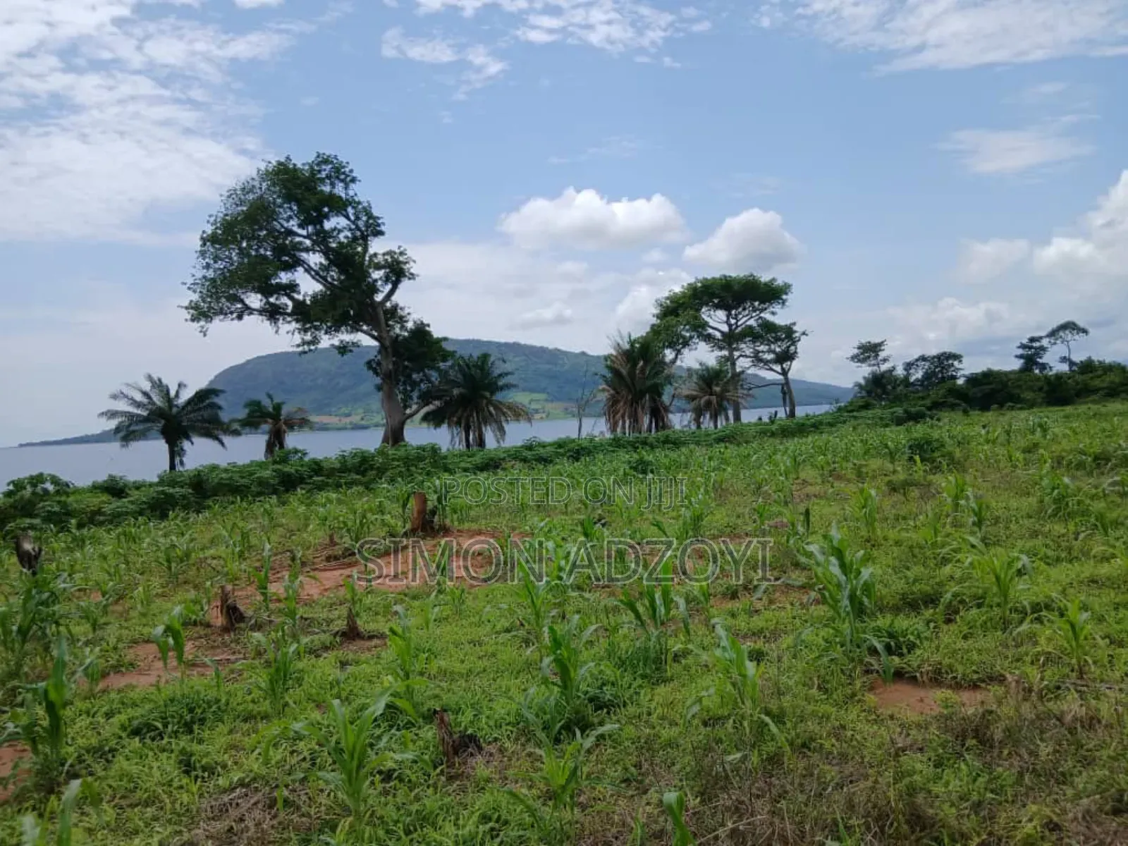 Riverfront Land for Long Lease