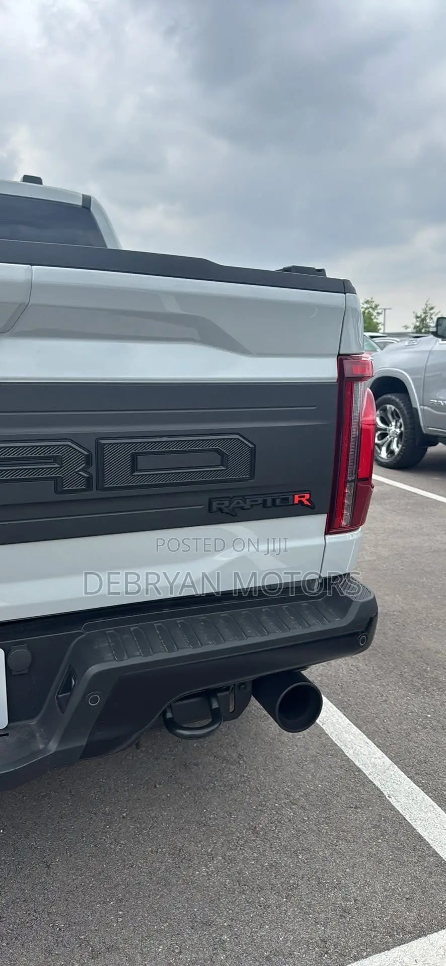 Ford F-150 Raptor 2024 Gray