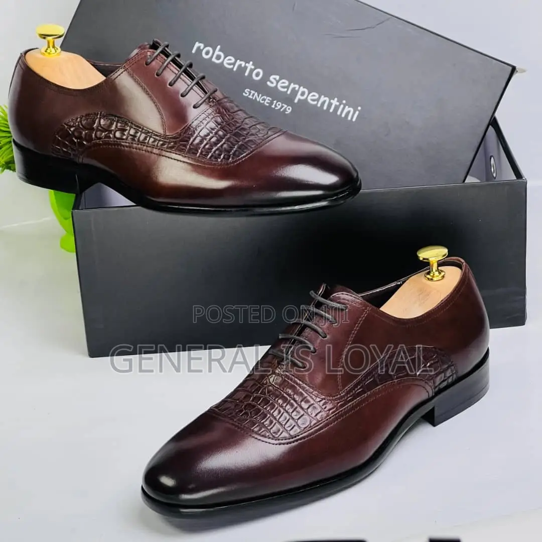 Roberto Serpentine Lace Shoe Coffee