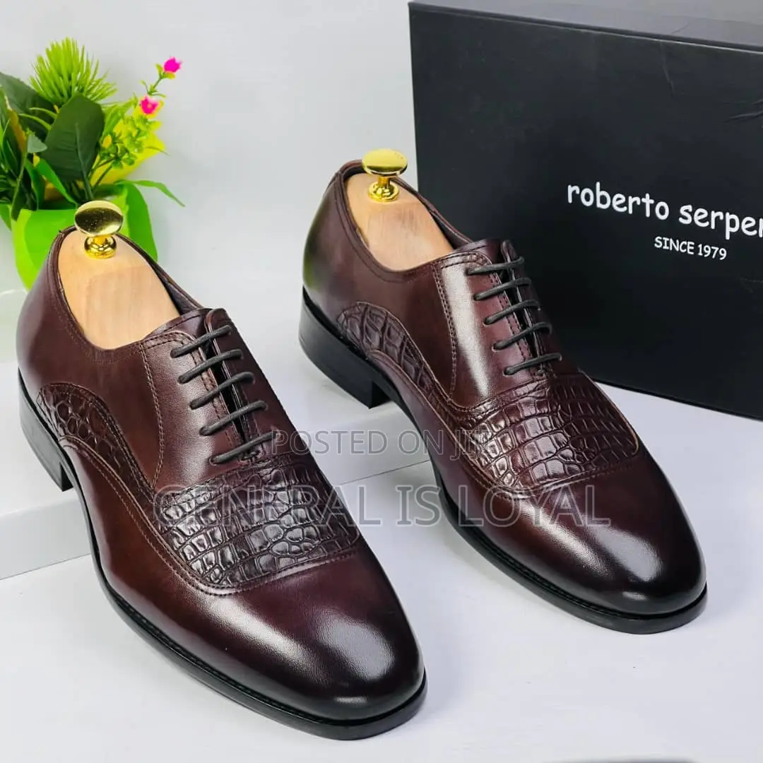 Roberto Serpentine Lace Shoe Coffee
