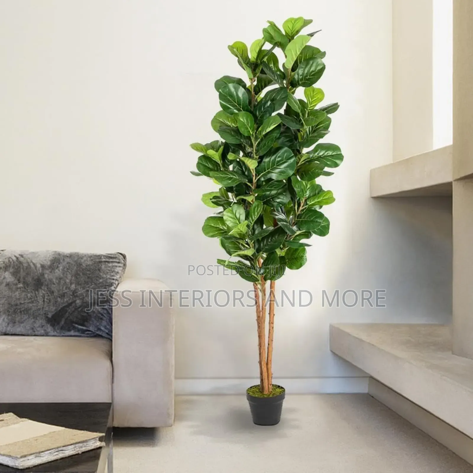Artificial Plant (Fiddle Tree)180cm