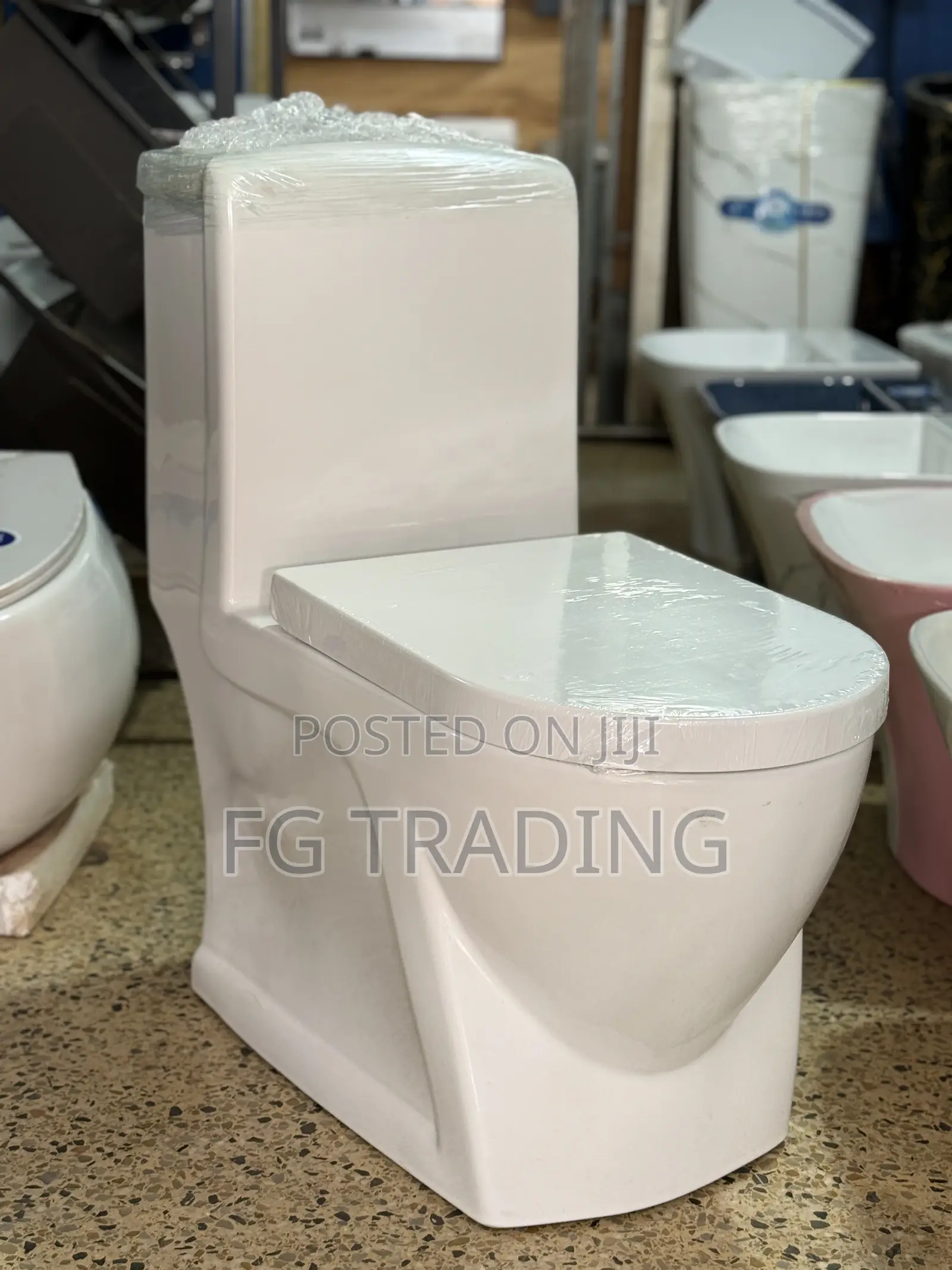 Combined Water Closet - Luxury Toilet