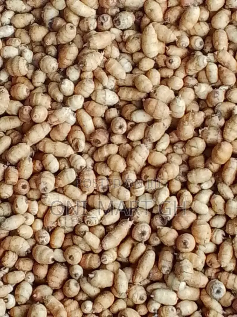 Washed Juicy Tigernuts/Atadwe