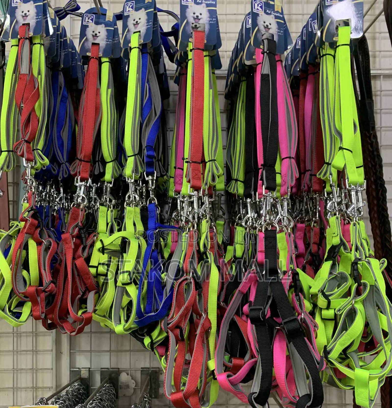 Dog Chain / Collar