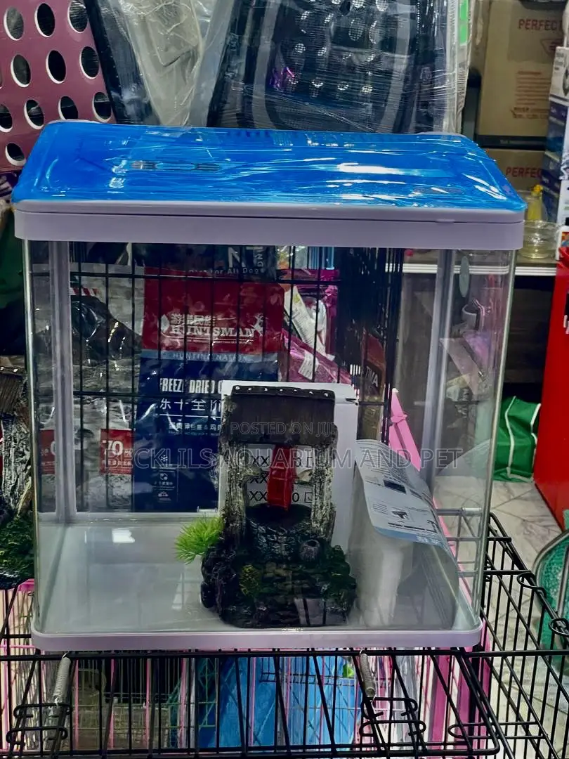 1 Feet Aquarium ( Miss Princes Aquarium )