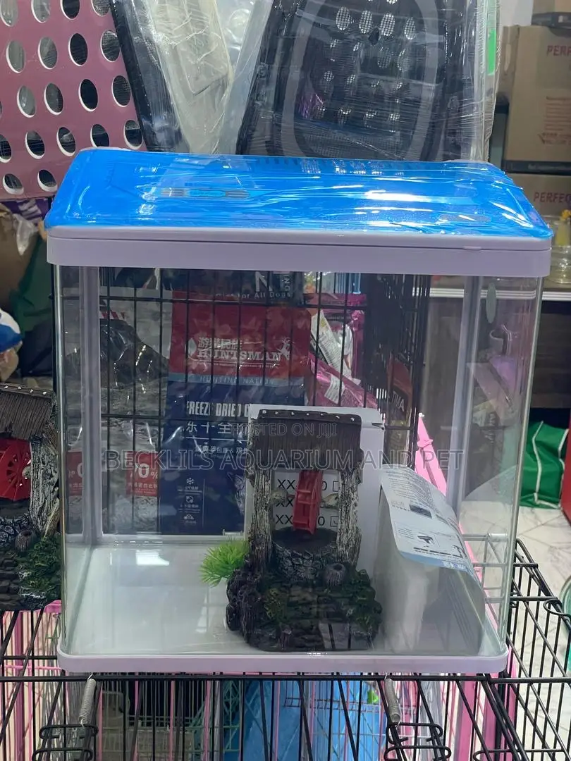 1 Feet Aquarium ( Miss Princes Aquarium )
