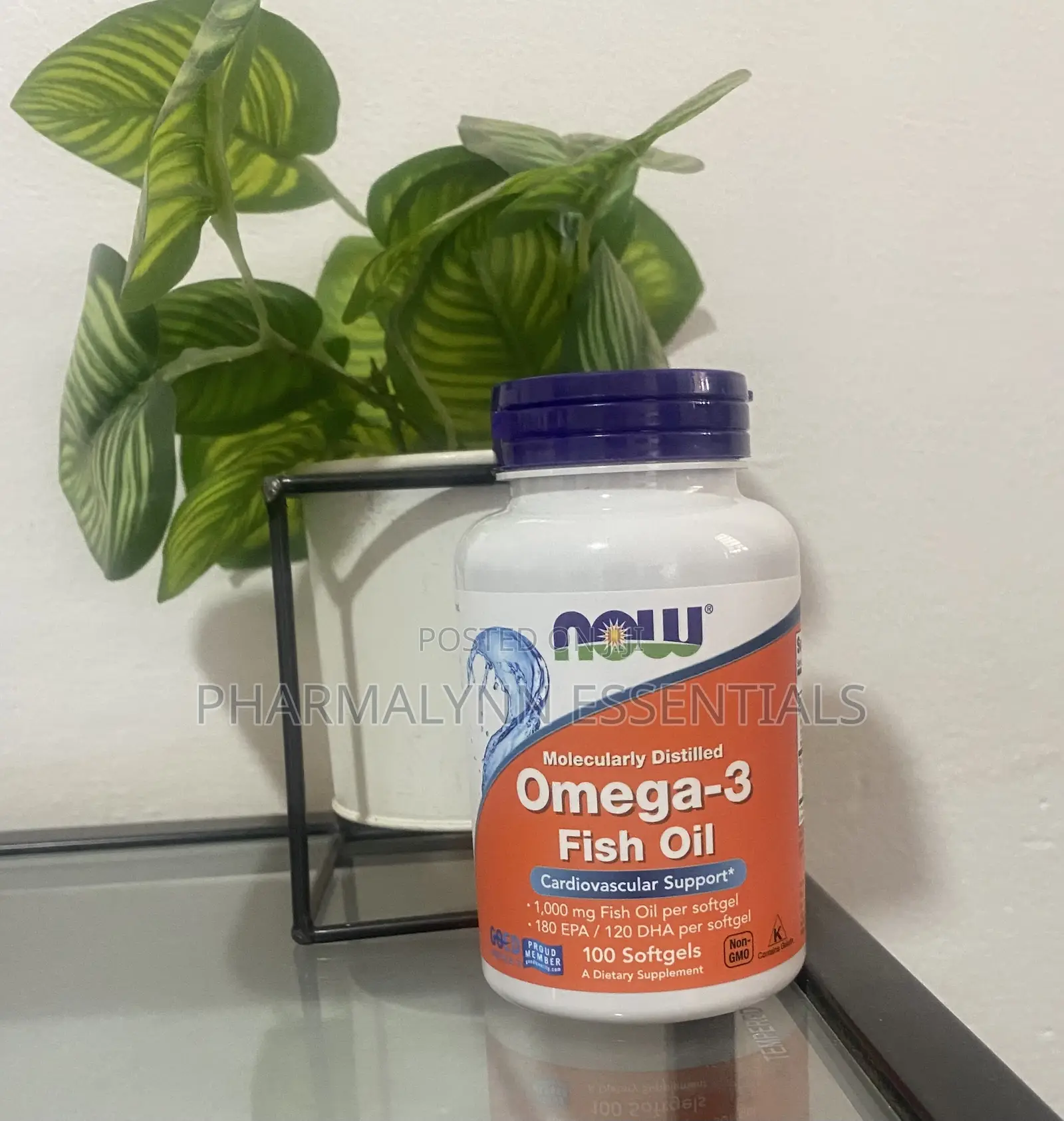 Now Omega 3 Fish Oil