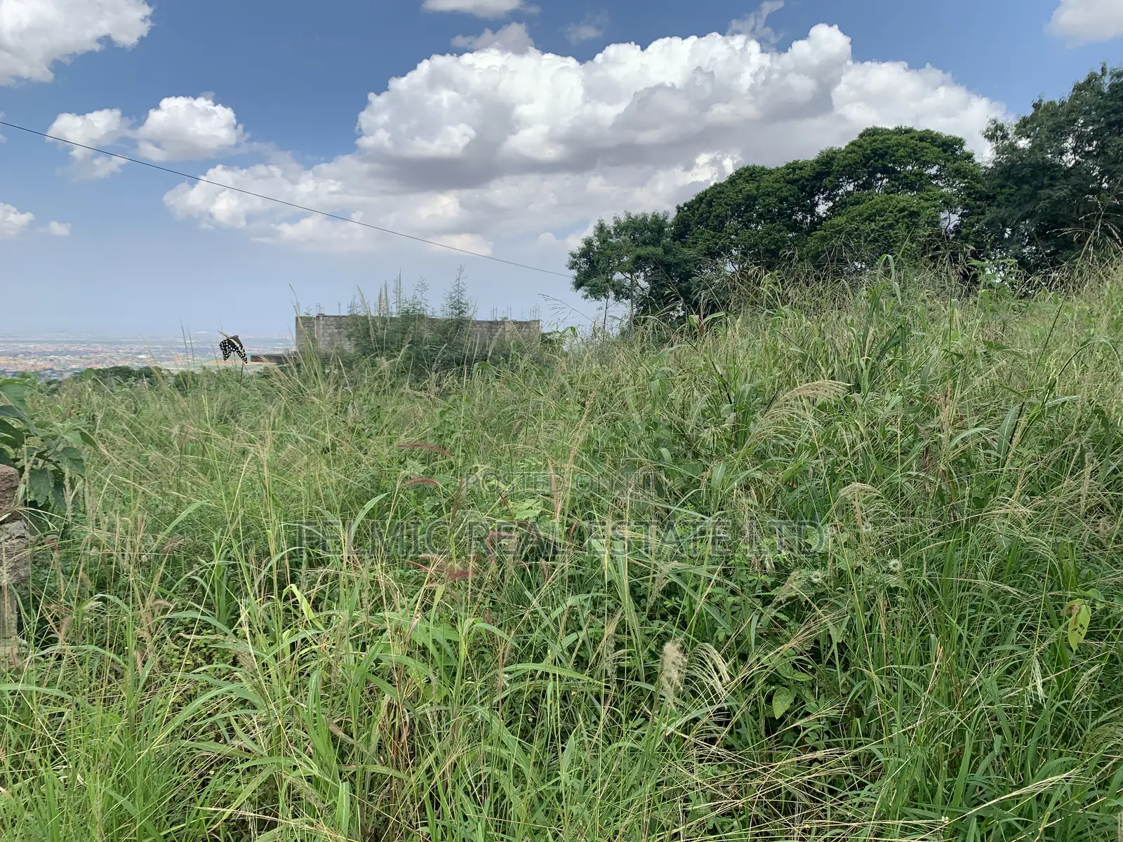 1 Plot of Land at Peduase Springfield Estate for Sale