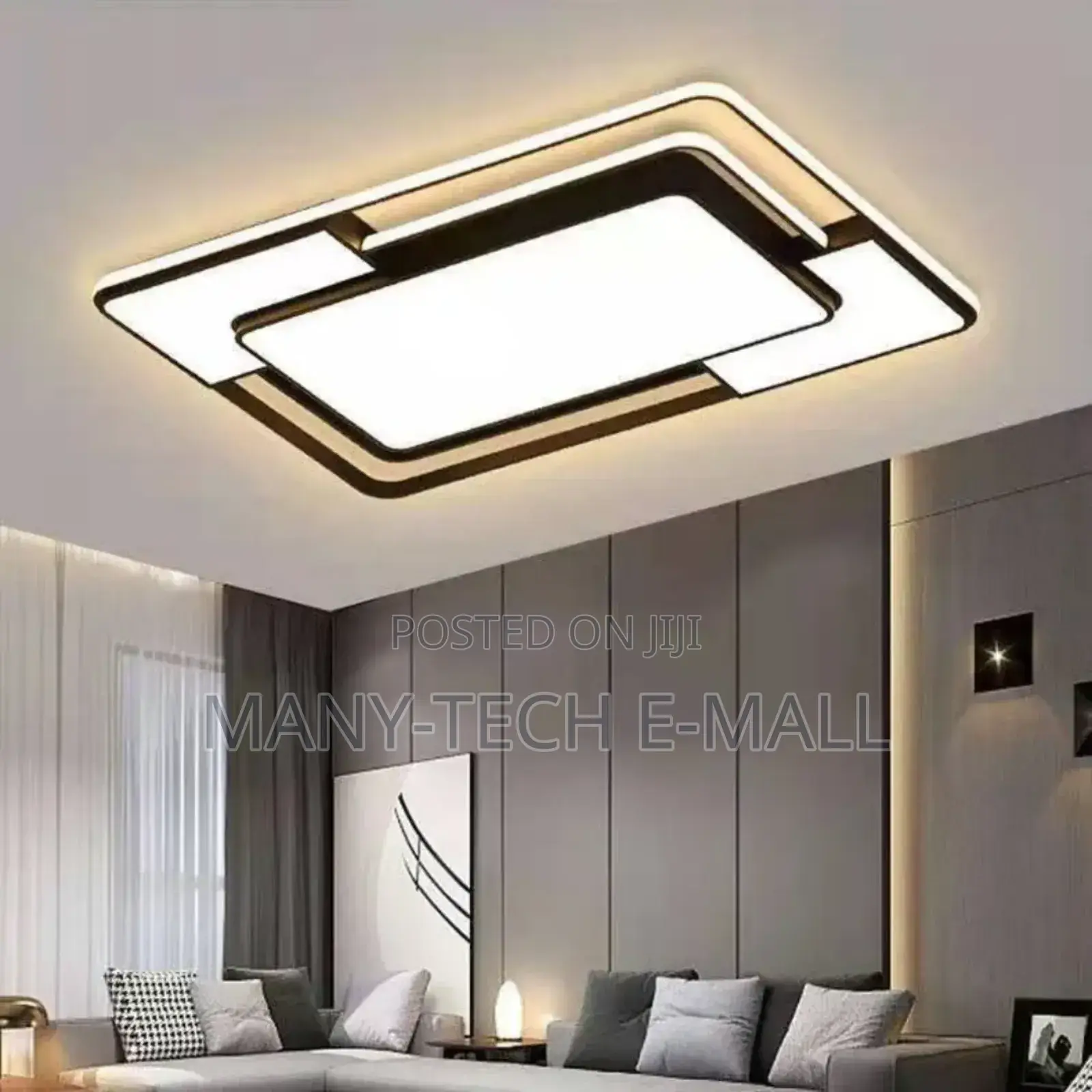 Brand New Hall Ceiling Light