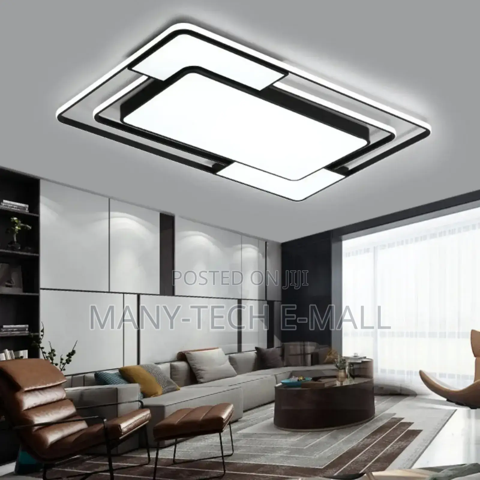 Brand New Hall Ceiling Light