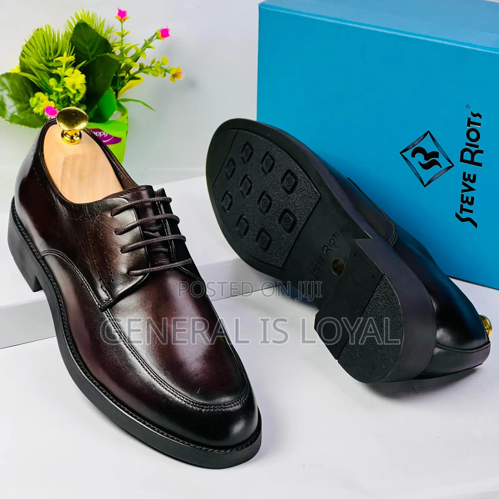 Steve Riots Lace Dark Coffee Shoe