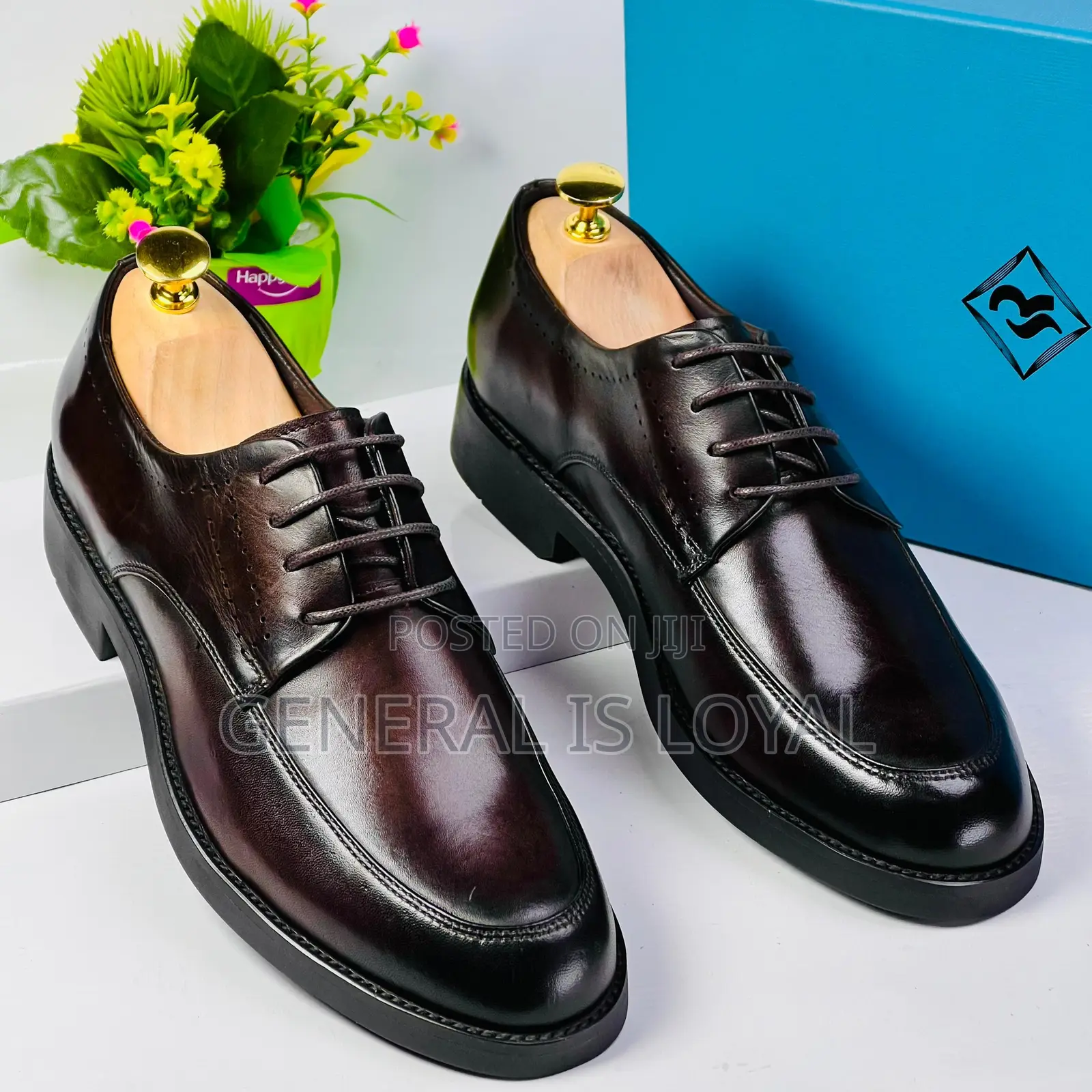 Steve Riots Lace Dark Coffee Shoe
