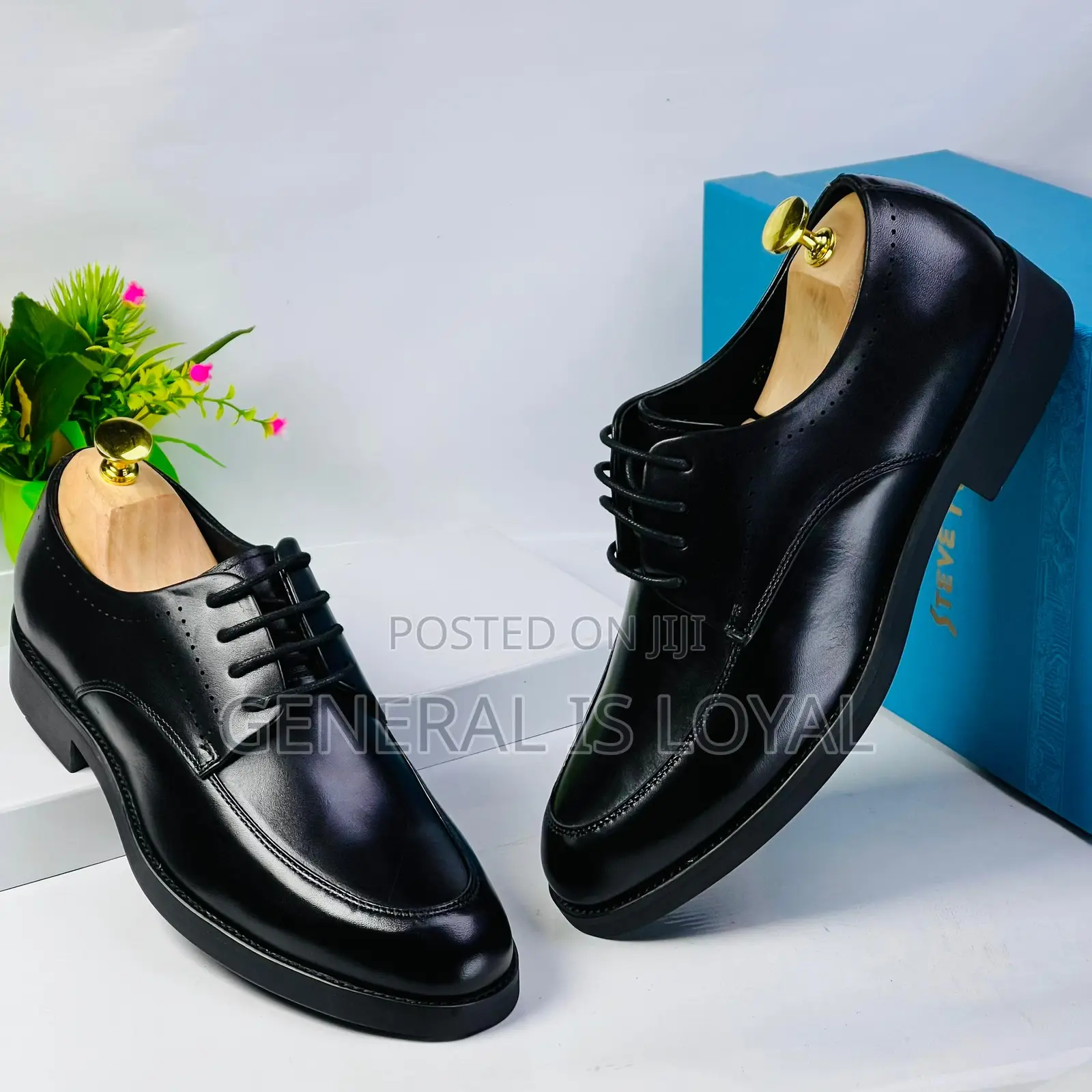 Steve Riots Lace Up Black Shoe