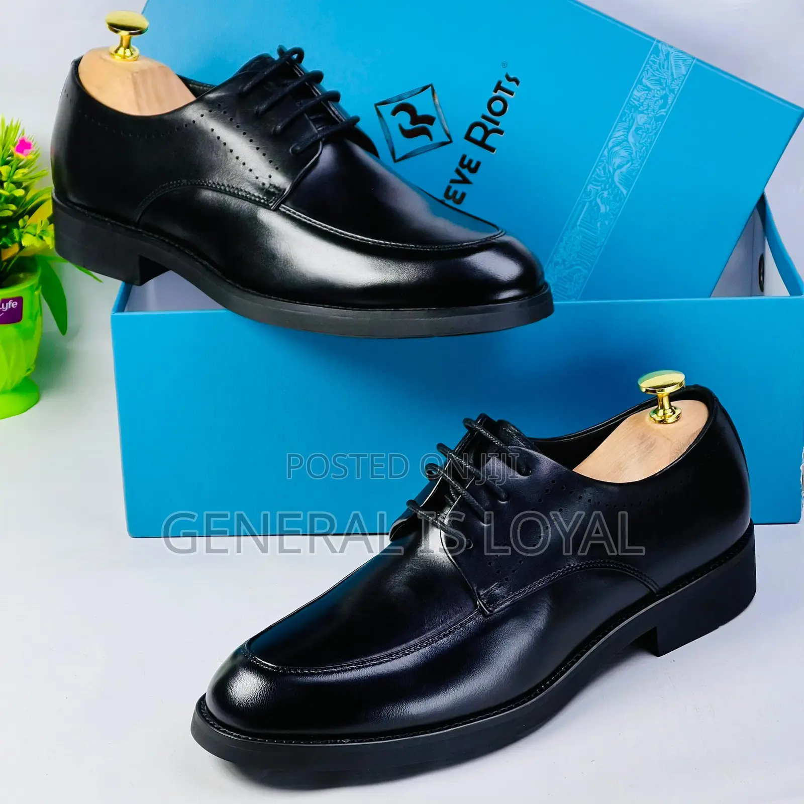 Steve Riots Lace Up Black Shoe