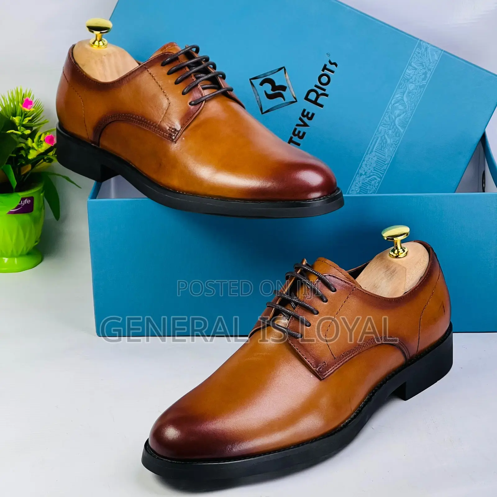 Steve Riots Brown Lace Shoe