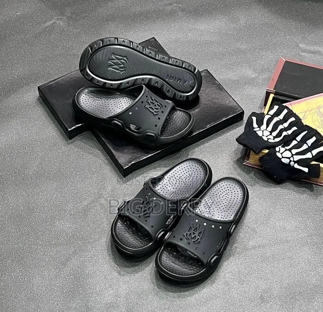 Amira Slides