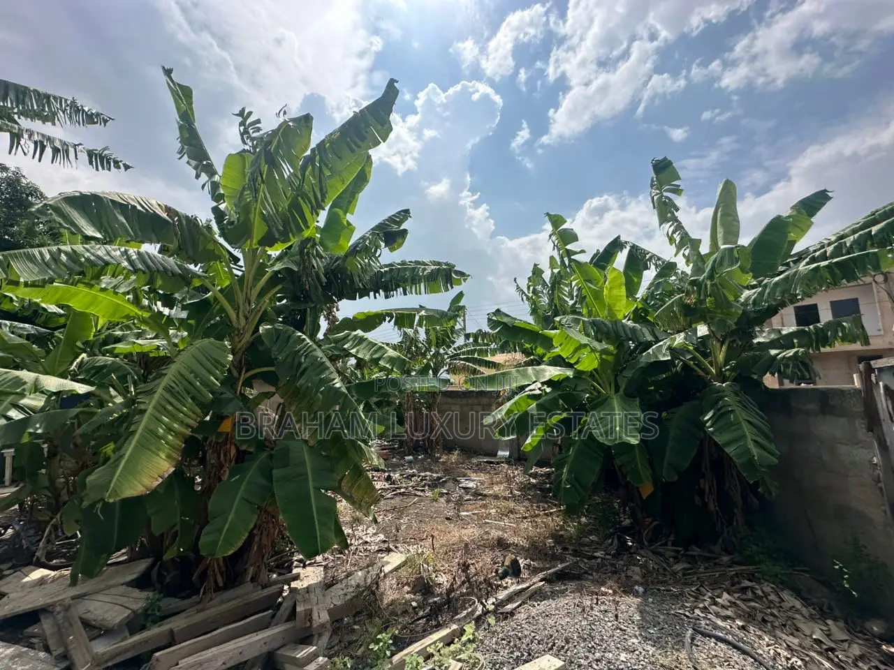  Prime 100x60ft Plot for Sale – Spintex-Batsona | $95,000