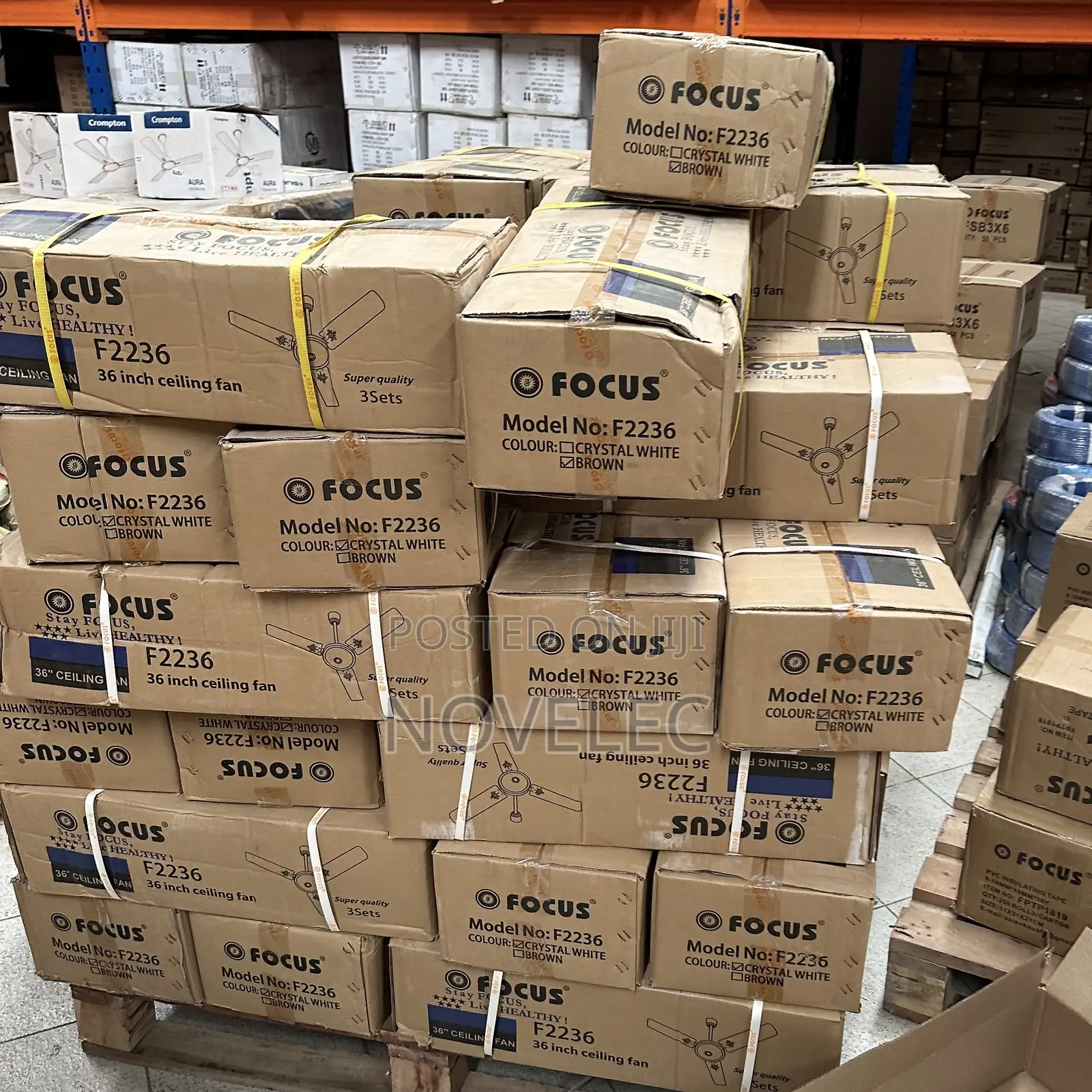 Focus Ceiling Fan (Short, Medium Long)