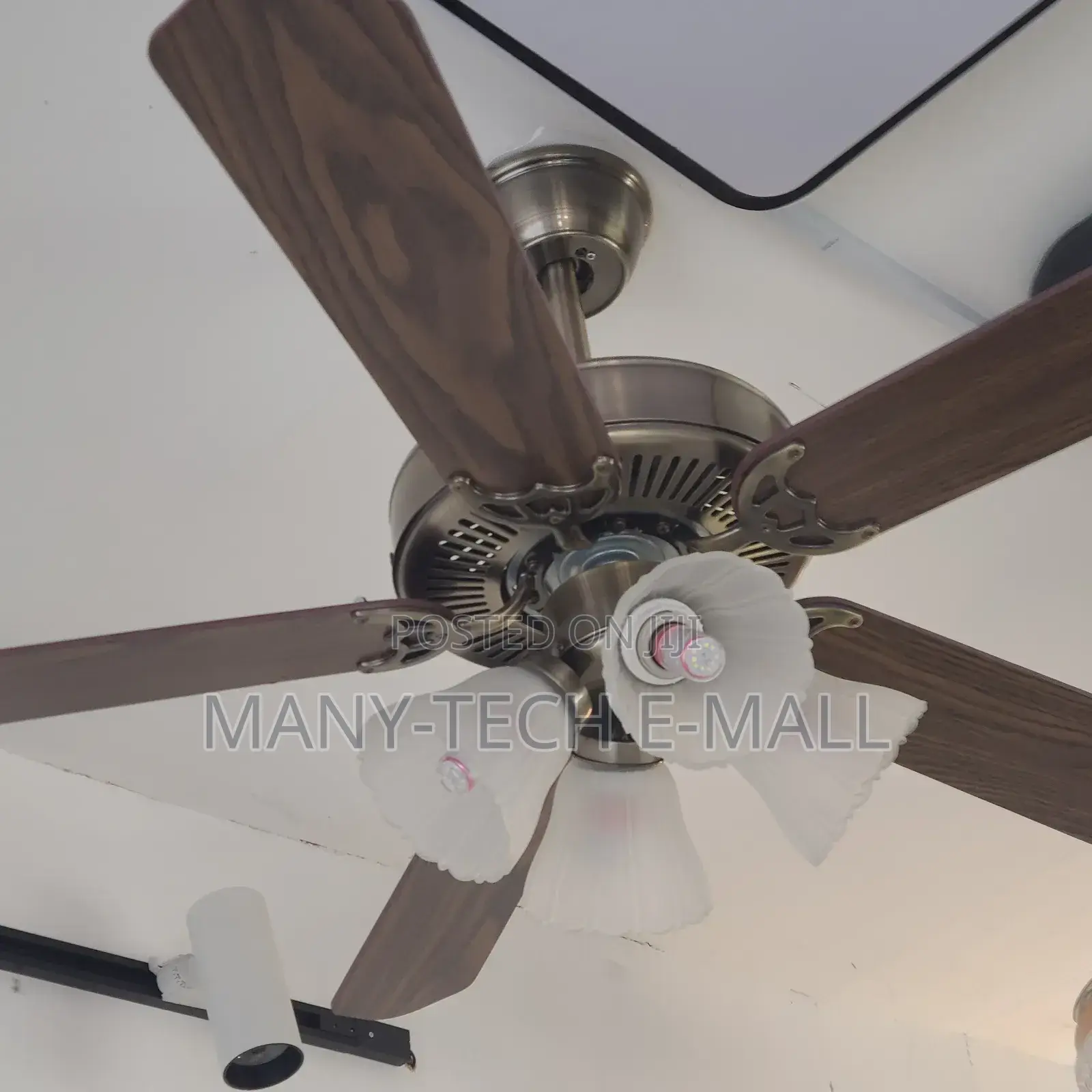 Vintage Luxurious Fan With Light