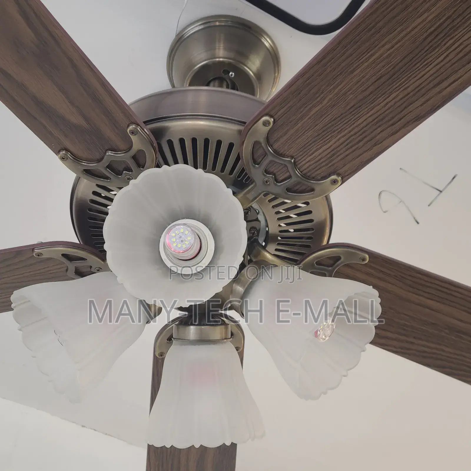 Vintage Luxurious Fan With Light