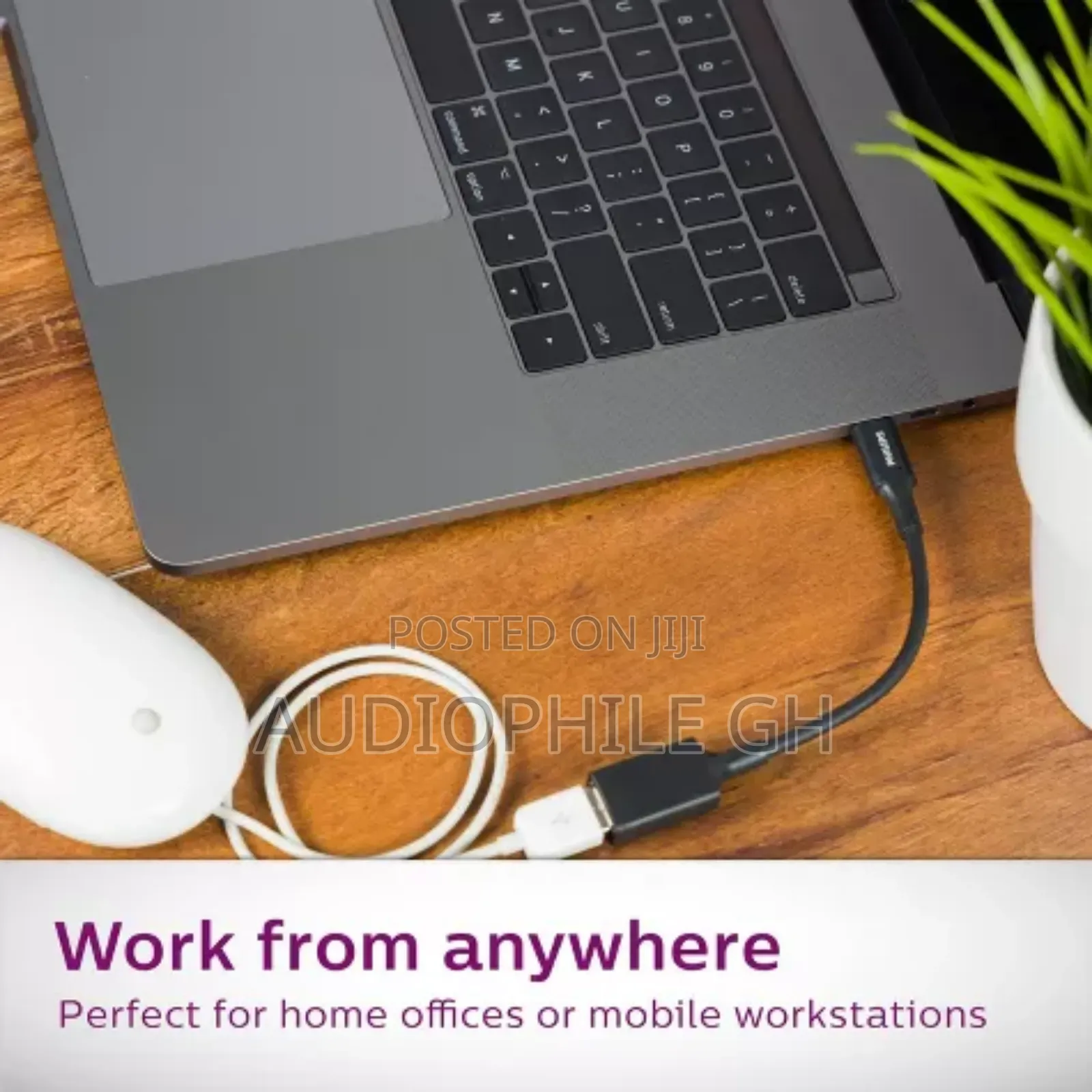 Philips 6" Usb-C to Usb 3.1 Female Adapter