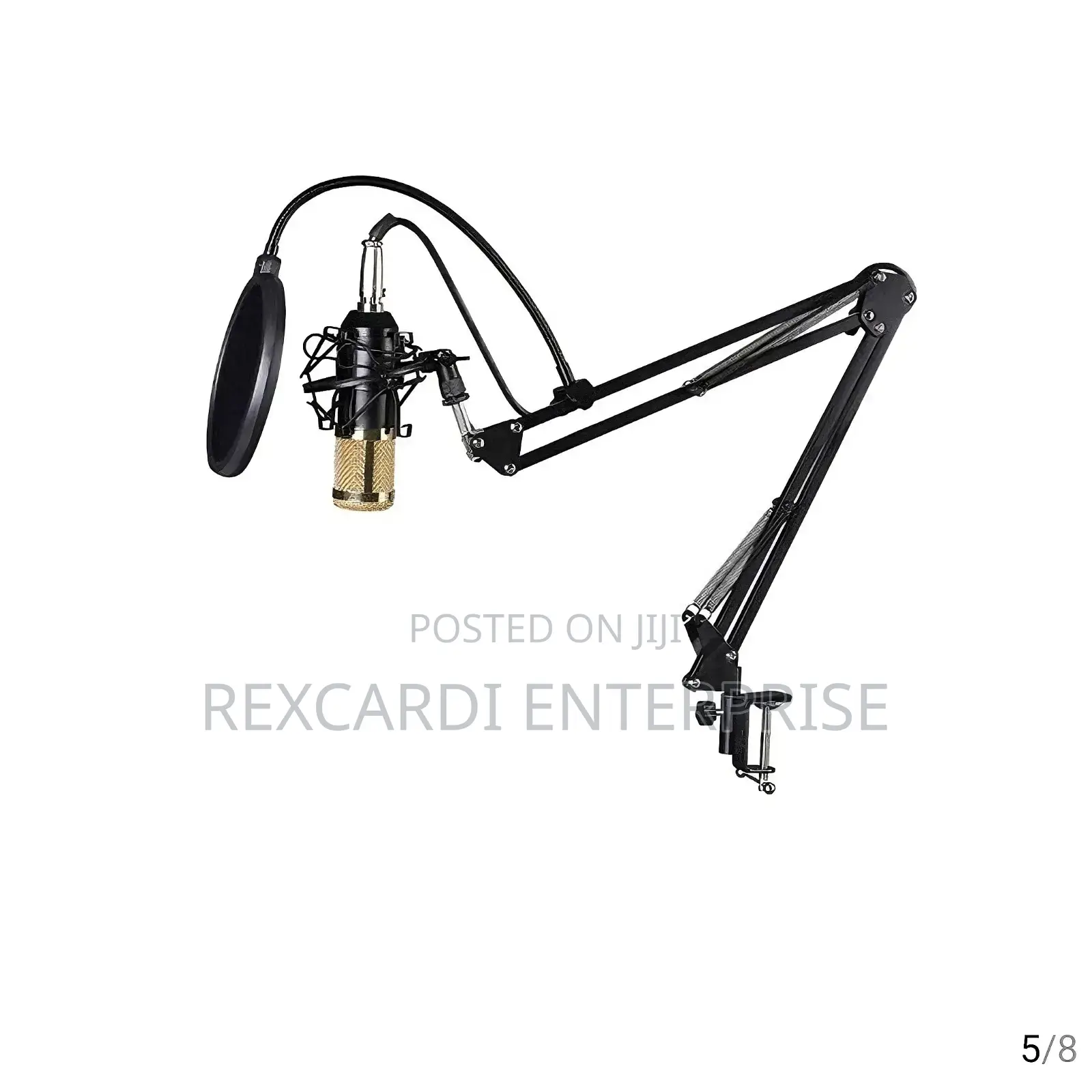 Professional Studio Condenser Microphone