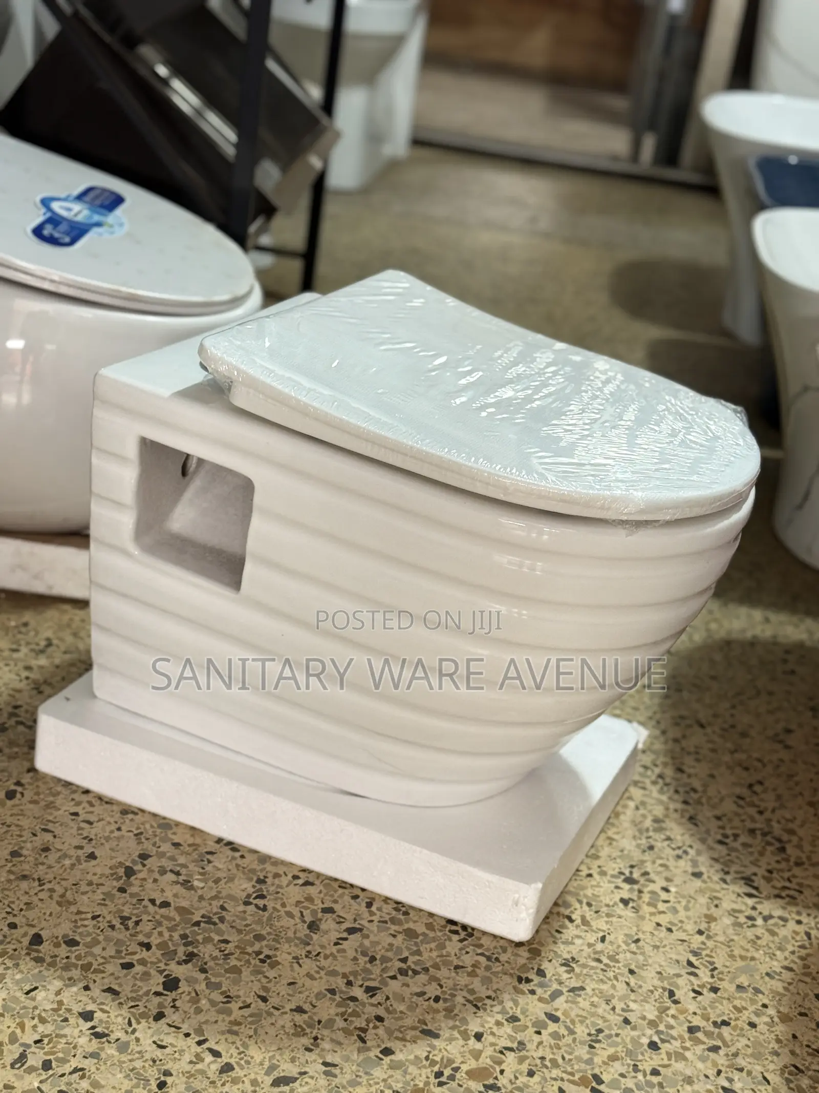 Concealed Water Closet _ Hanging Toilet