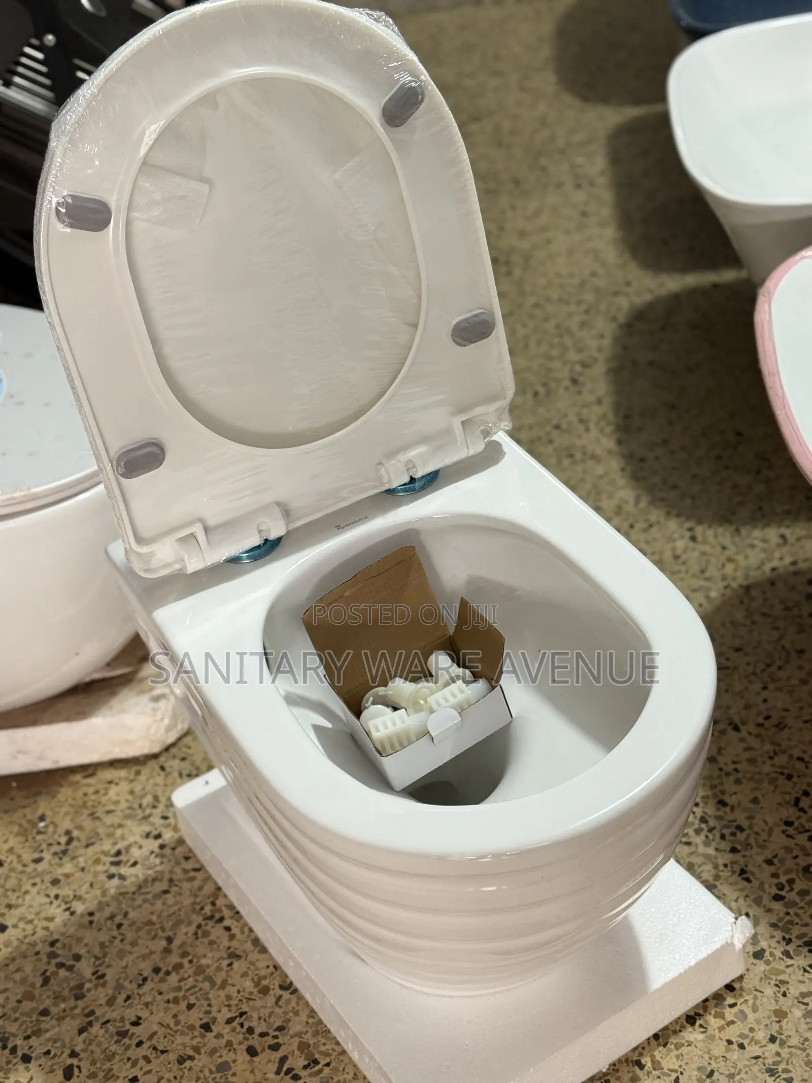 Concealed Water Closet _ Hanging Toilet