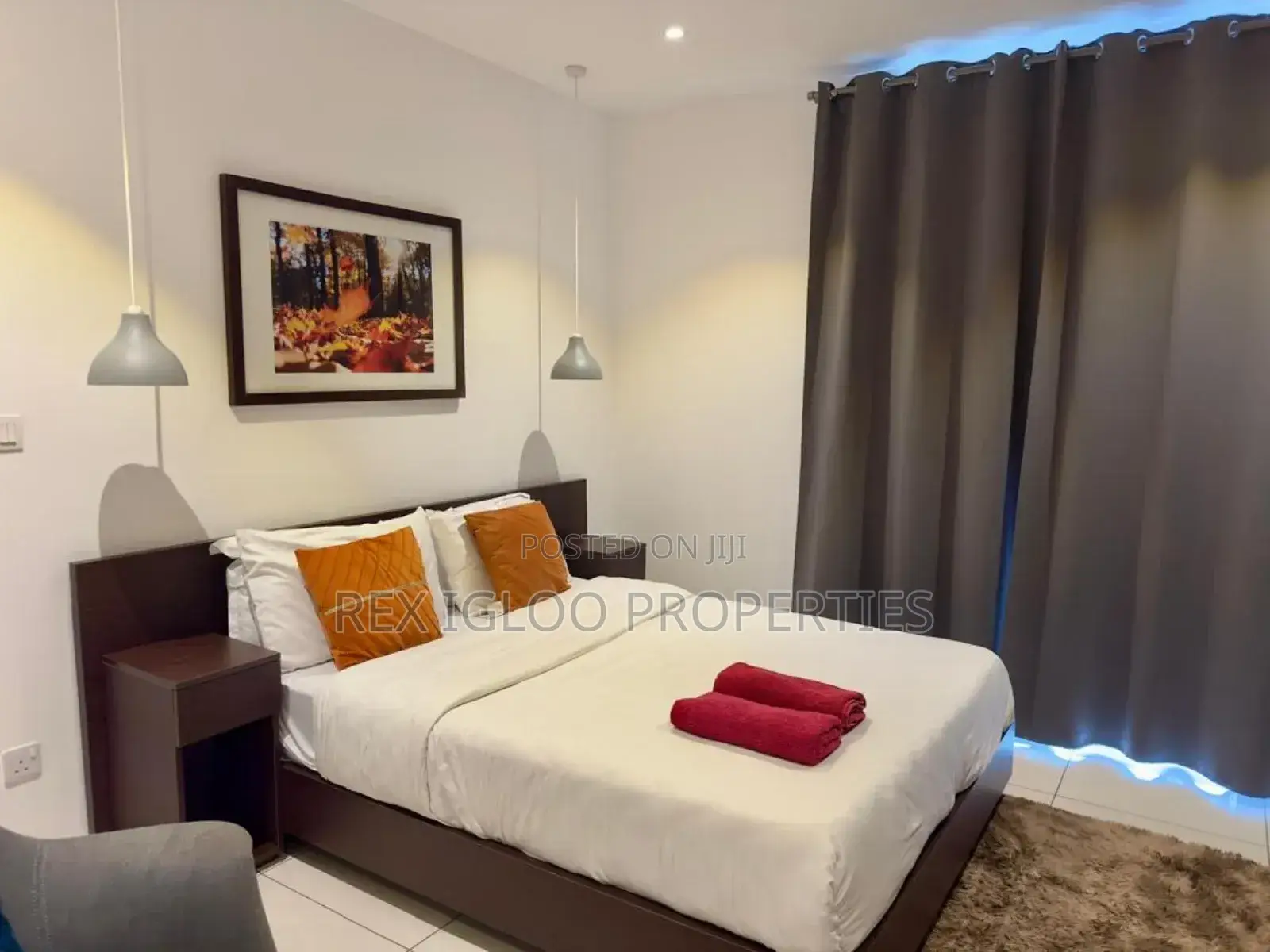 Furnished 1bdrm Apartment in Cantonment, Accra Metropolitan for rent