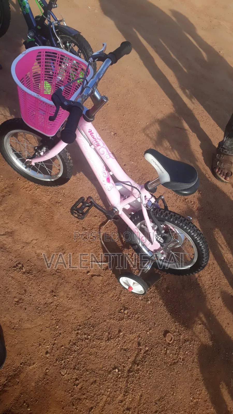 Kid Bicycle for All Girls Child and Boy Child Can Ride