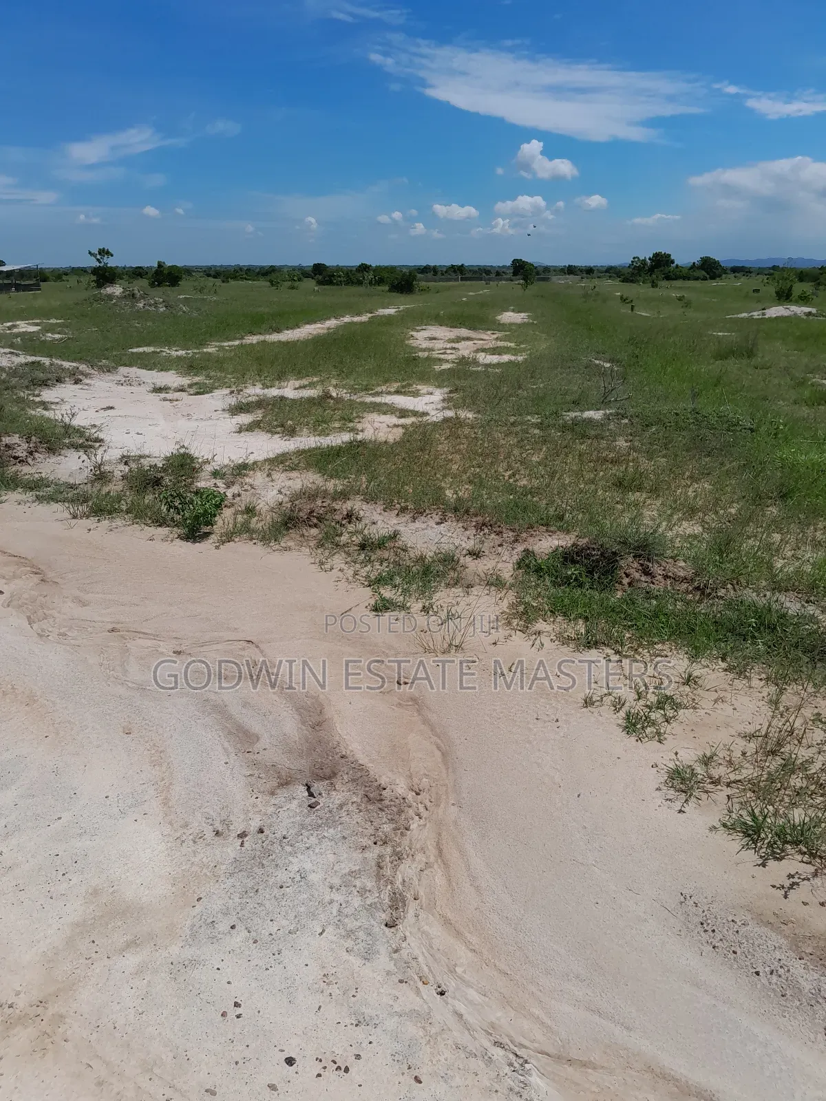 Beautiful Serene Loving Estate Land