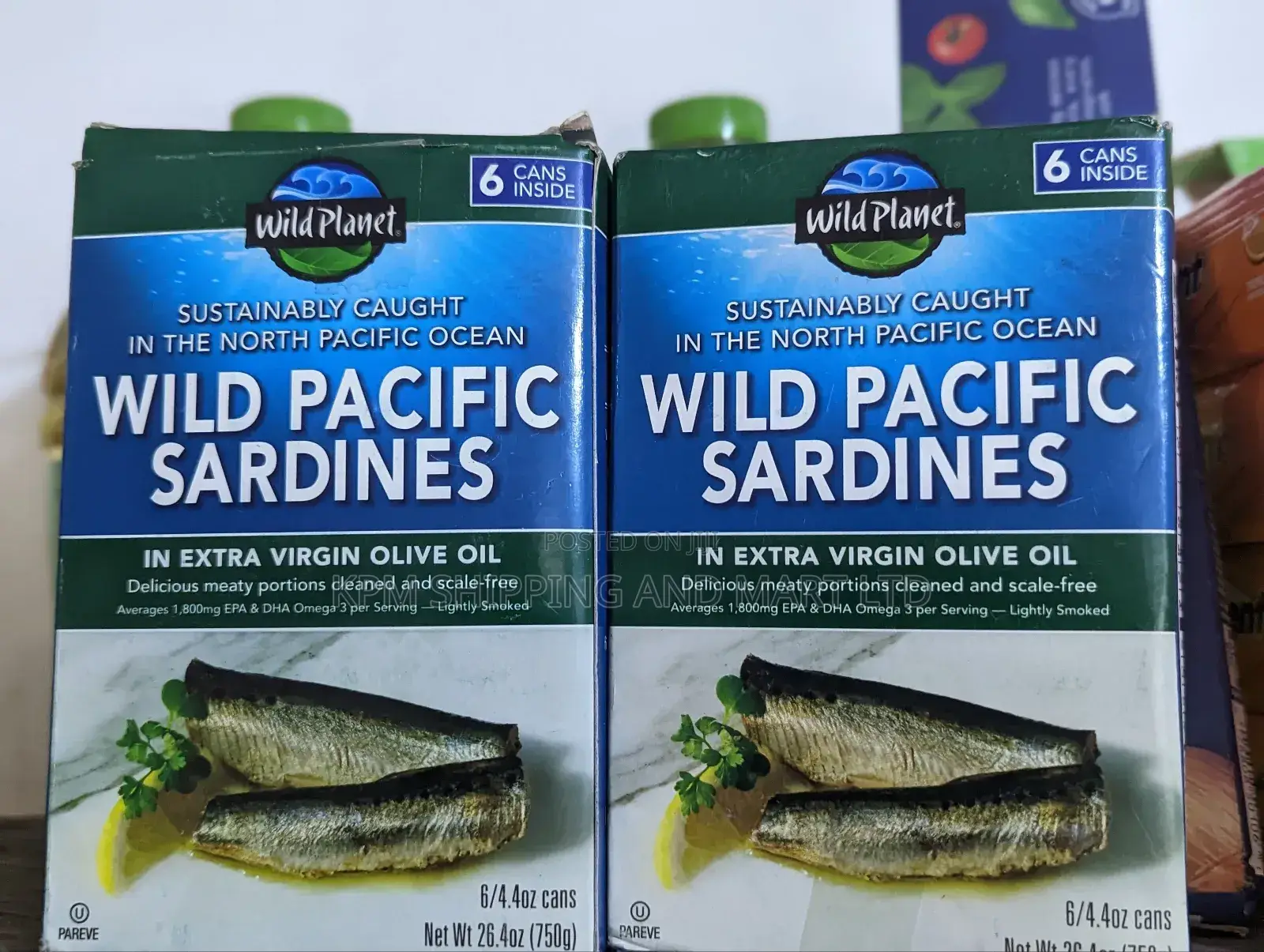Wild Pacific Sardines