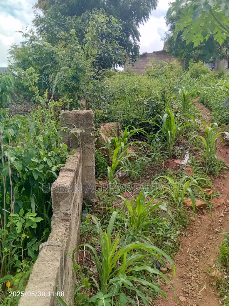 Gt/Accra - New Bortiano, (Adansiman) _ 8 Plots Mountain Land
