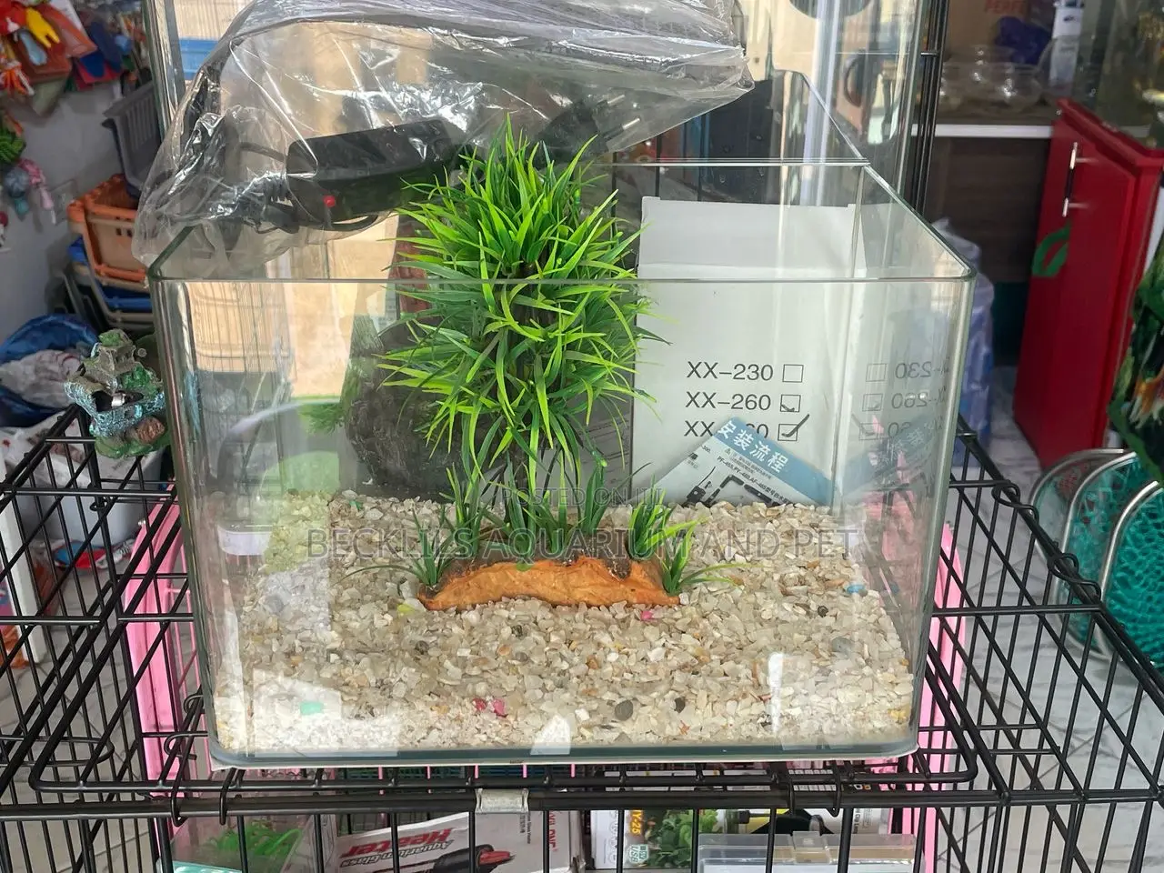 Queens Table Top Aquarium