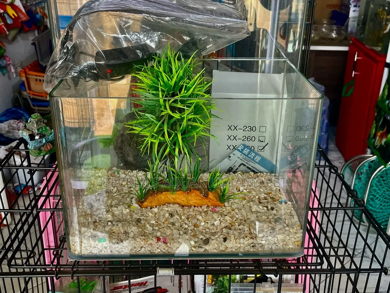 Queens Table Top Aquarium