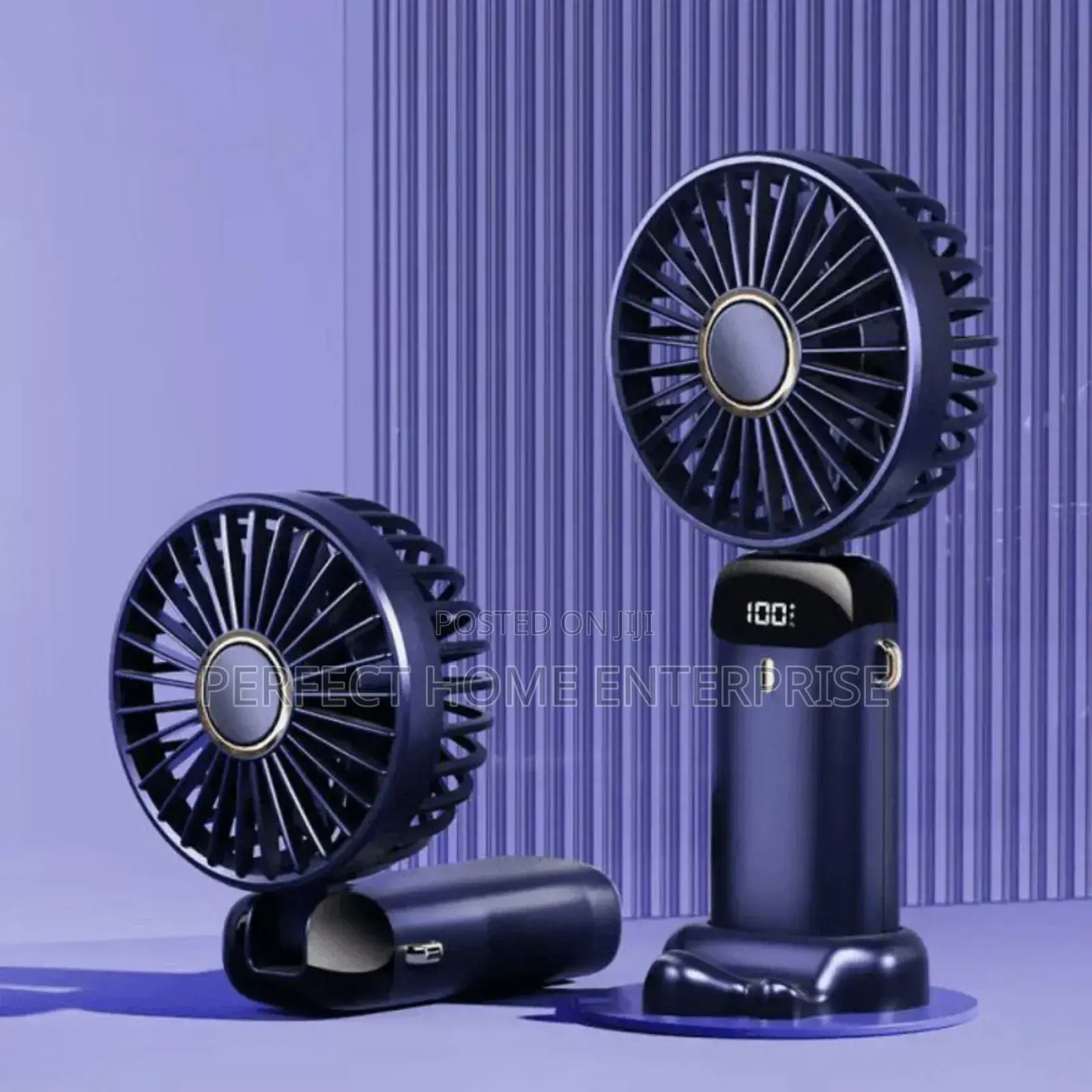 Bridal Fan
