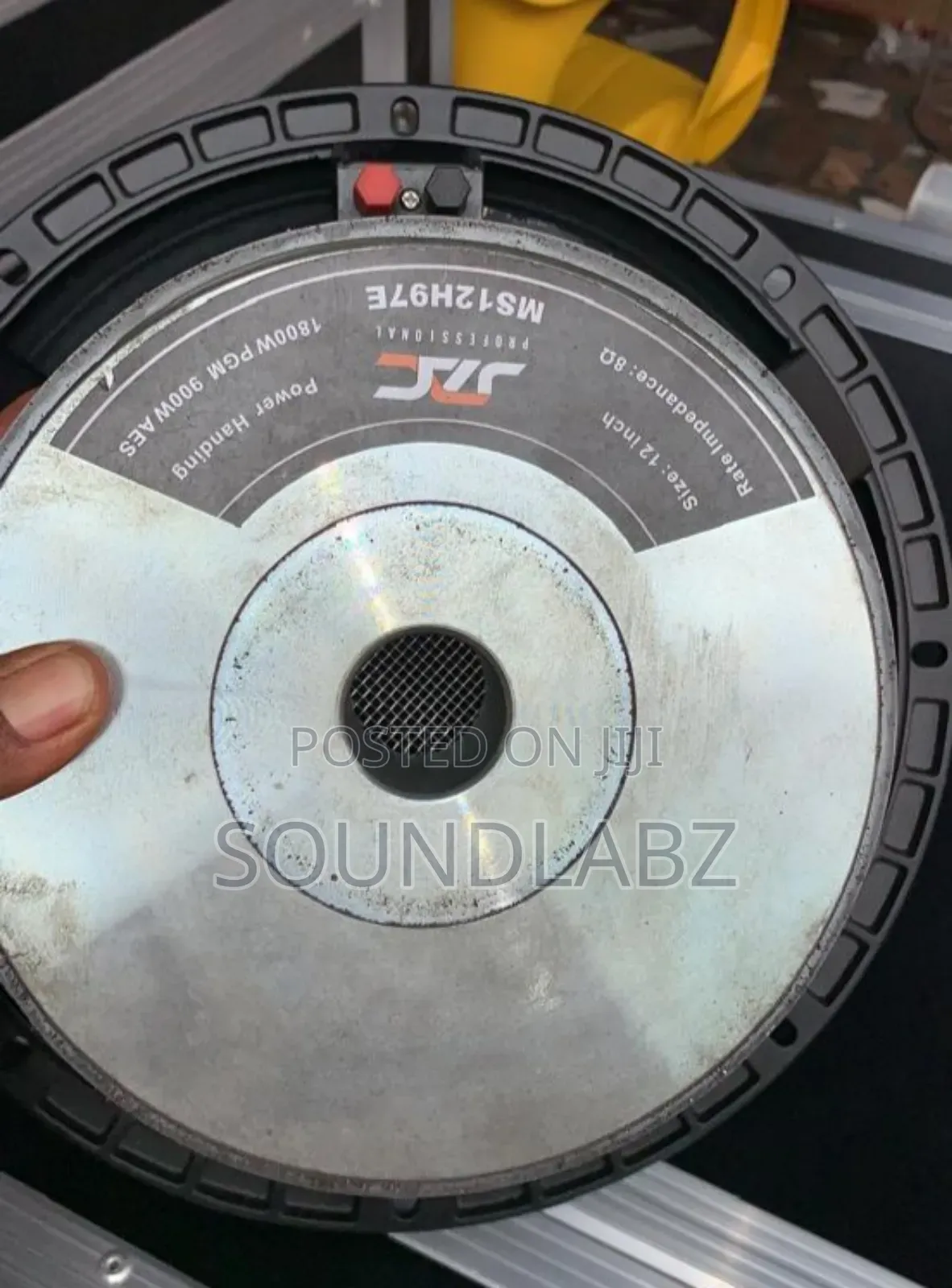 Jac 12 Inches Double Magnet Naked Speaker