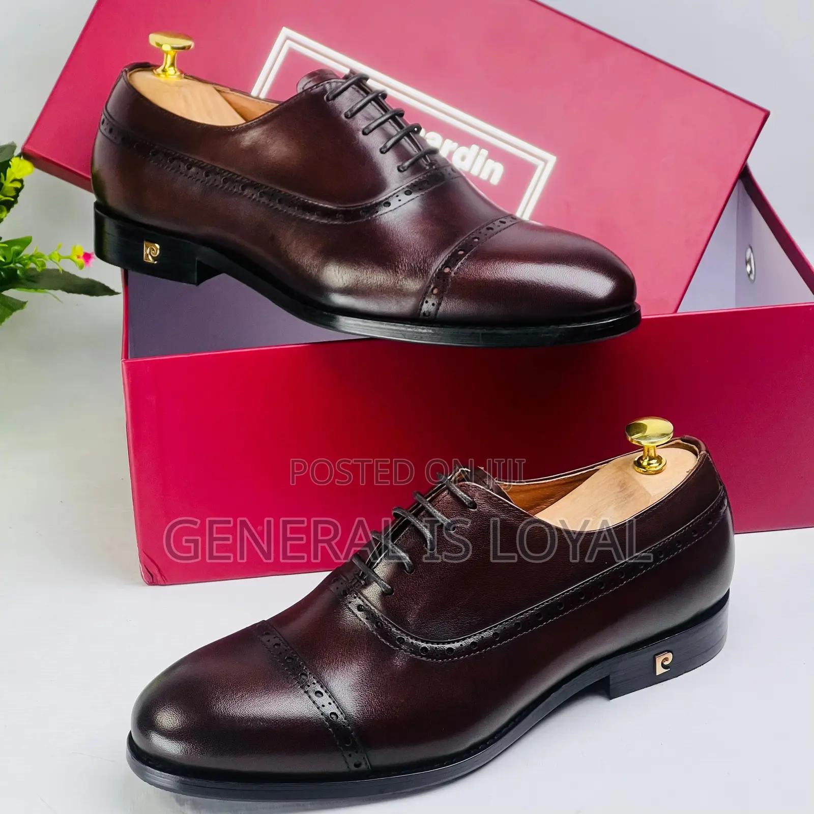 Pierre Cardin Men Shoe