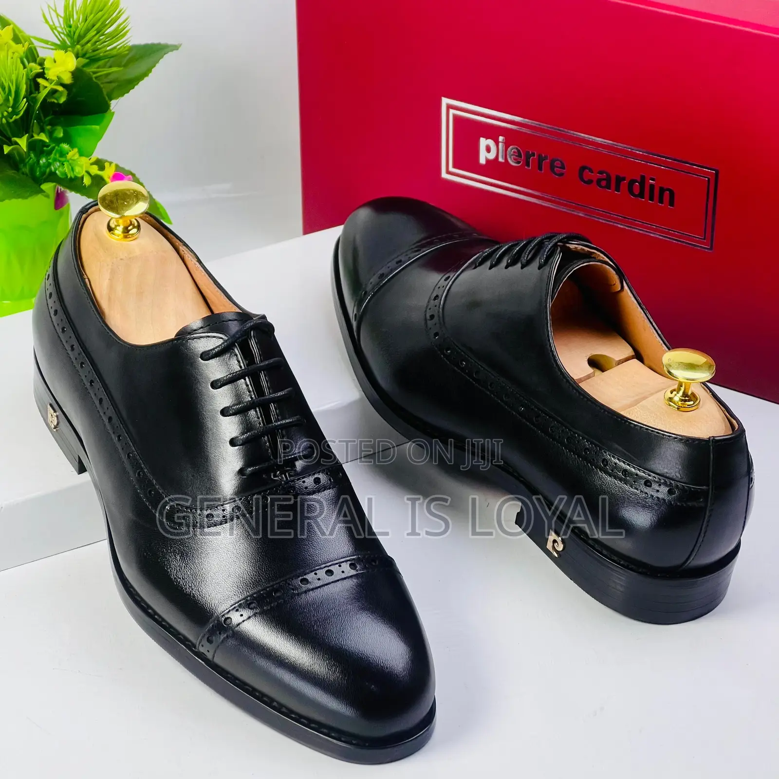 Pierre Cardin Men Shoe