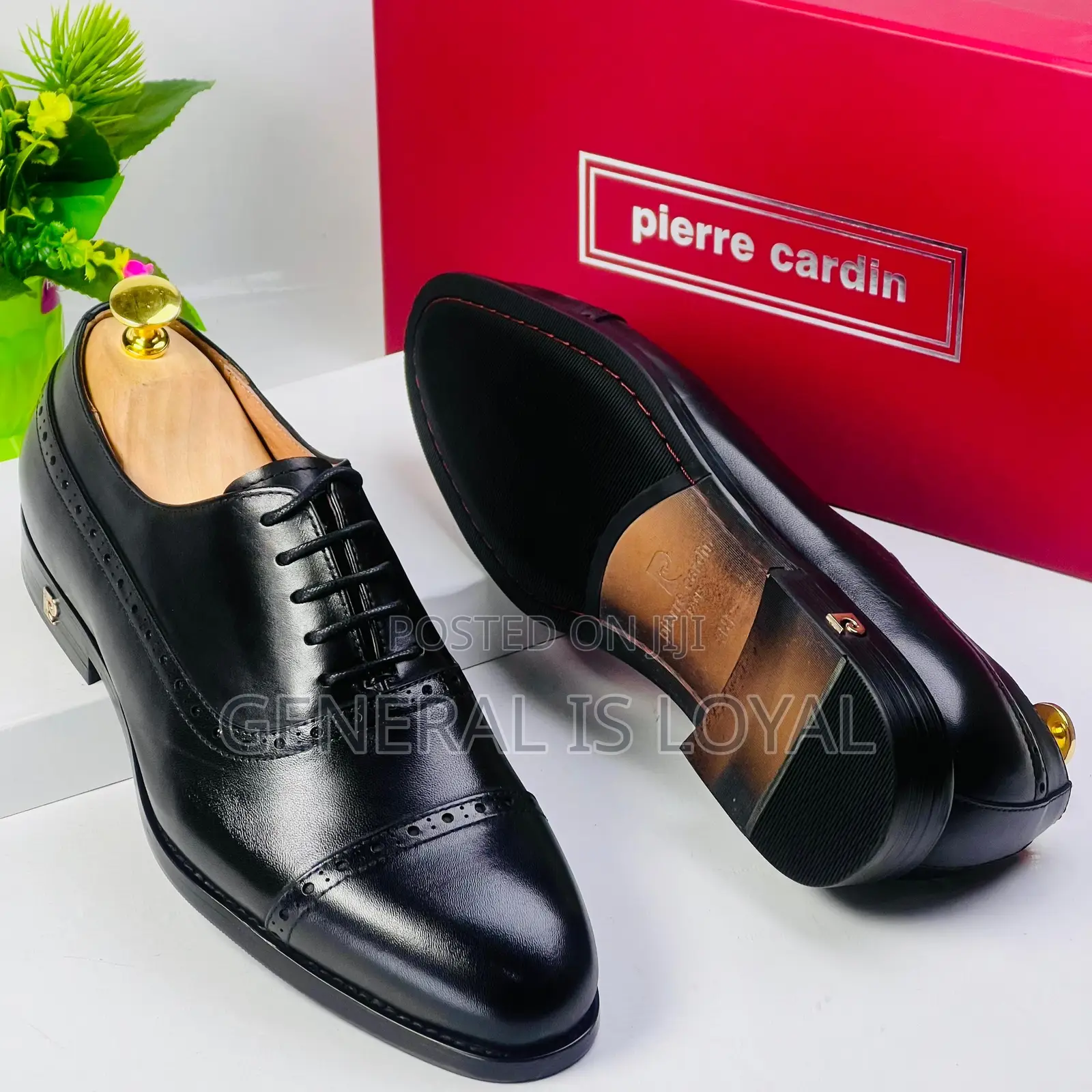 Pierre Cardin Men Shoe
